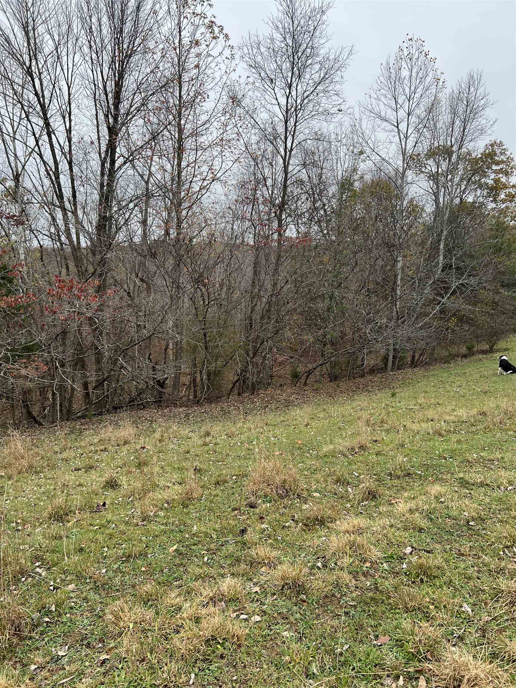 Hawesville-Easton Rd., Reynolds Station, Kentucky 42368, ,Land,For Sale,Hawesville-Easton Rd.,91125