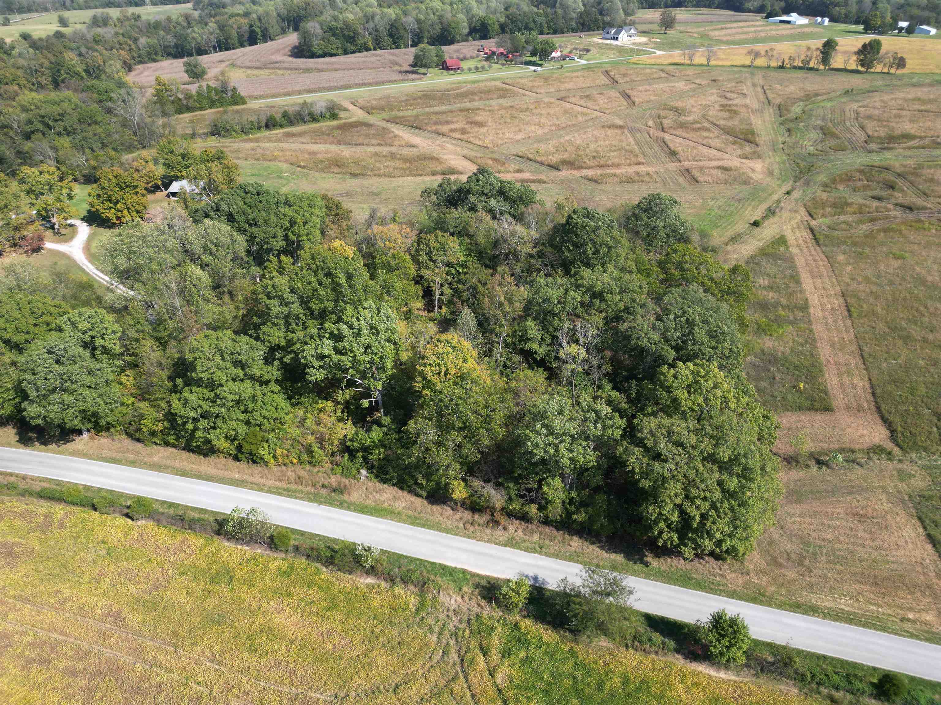 0 Green Ridge Spa Road, Lewisburg, Kentucky 42256, ,Land,For Sale,Green Ridge Spa Road,91137