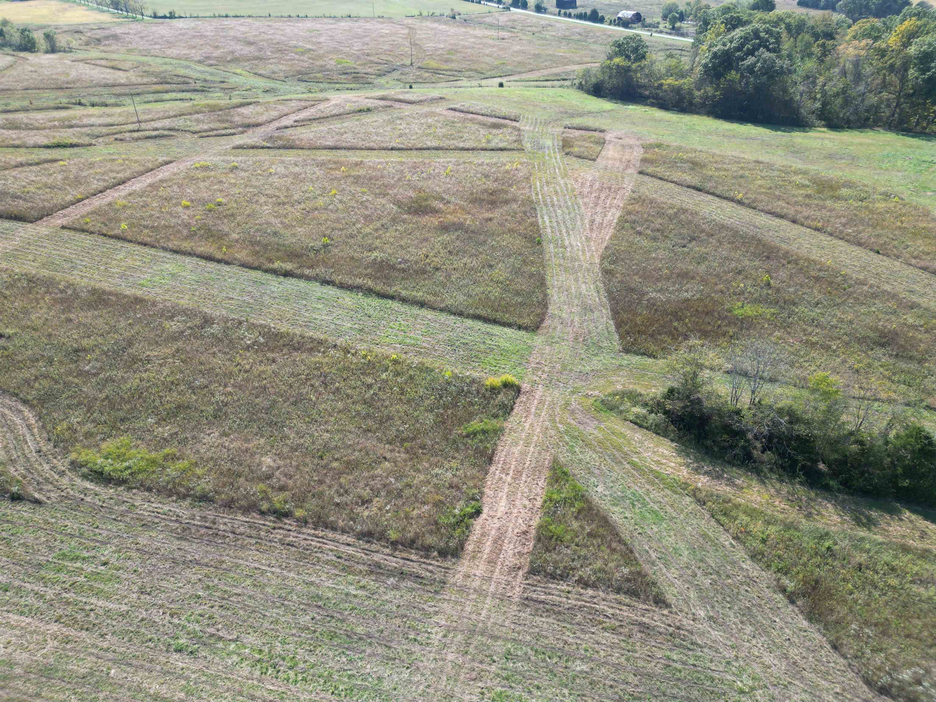 0 Parker Road, Lewisburg, Kentucky 42256, ,Land,For Sale,Parker Road,91141