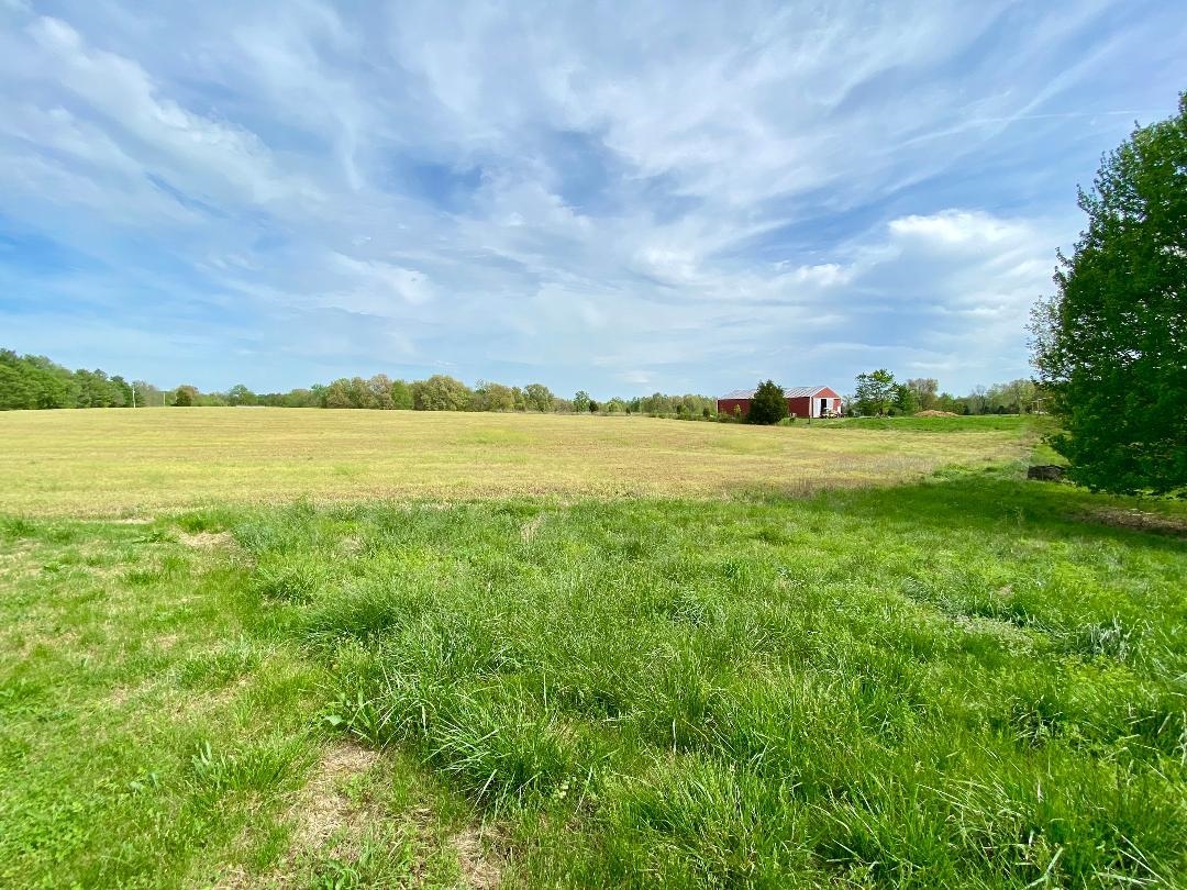 1175 Kentucky 254, Sacramento, Kentucky 42372, ,Farm,For Sale,Kentucky 254,91147