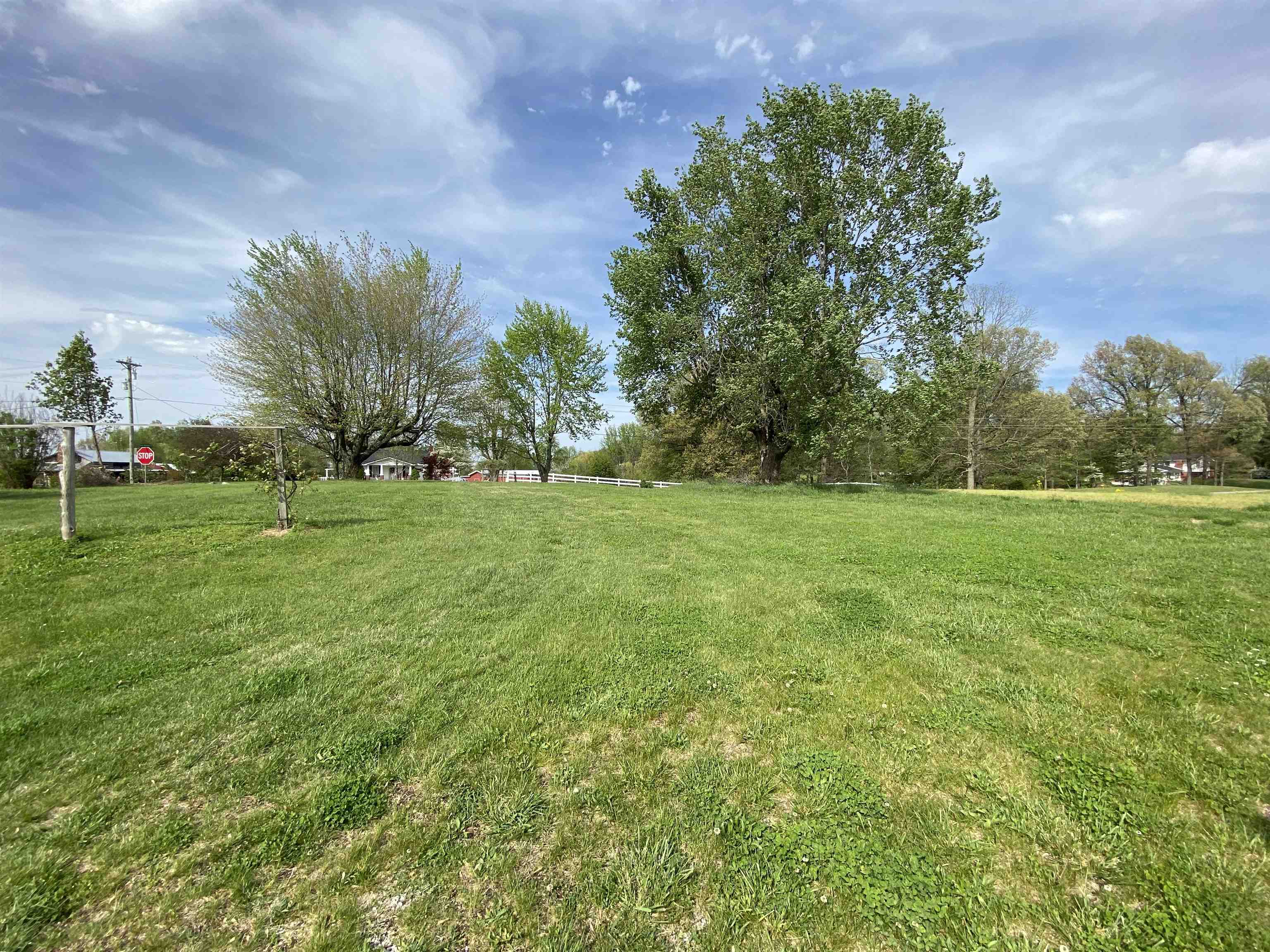 1175 Kentucky 254, Sacramento, Kentucky 42372, ,Farm,For Sale,Kentucky 254,91147