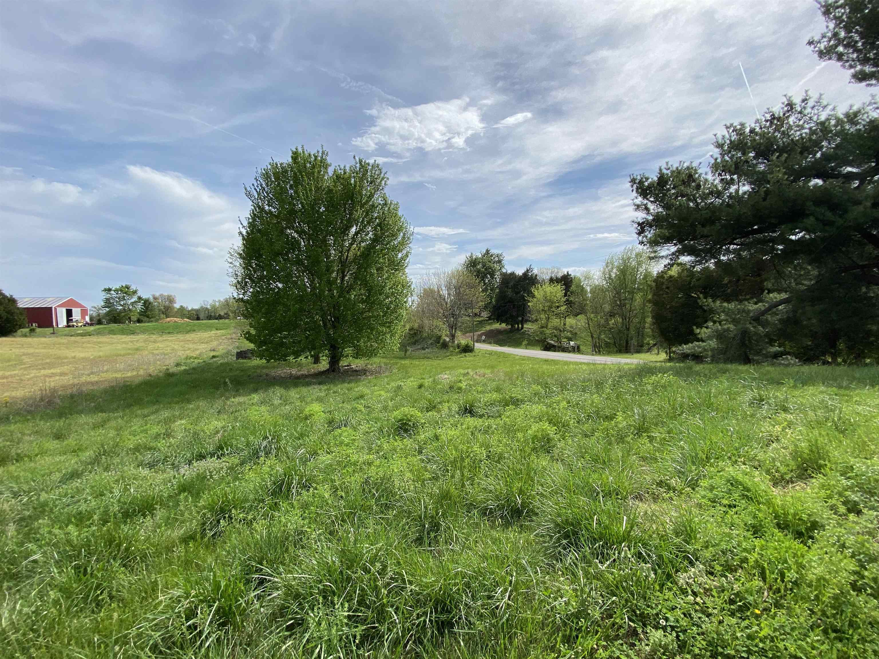1175 Kentucky 254, Sacramento, Kentucky 42372, ,Farm,For Sale,Kentucky 254,91147