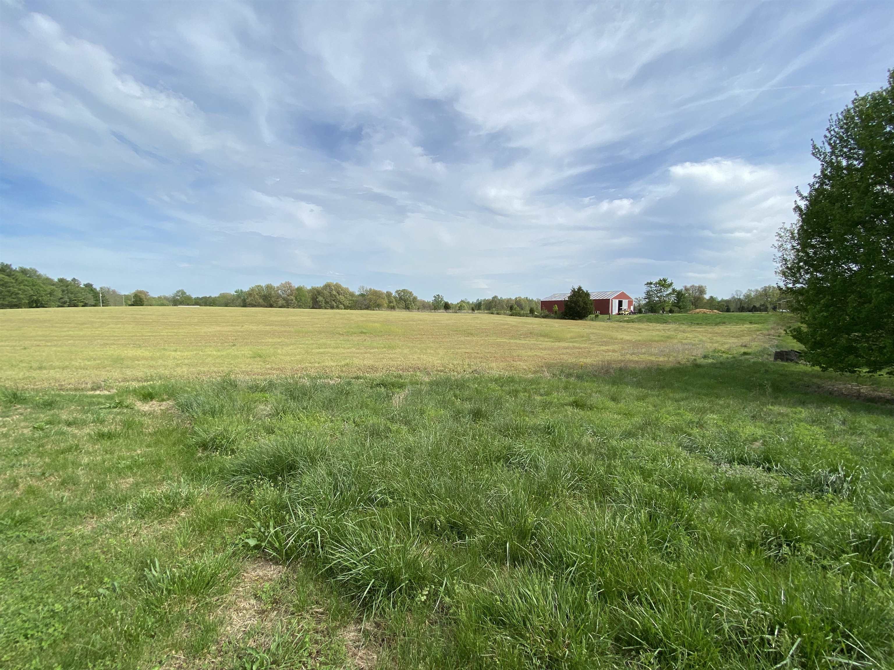 1175 Kentucky 254, Sacramento, Kentucky 42372, ,Farm,For Sale,Kentucky 254,91147