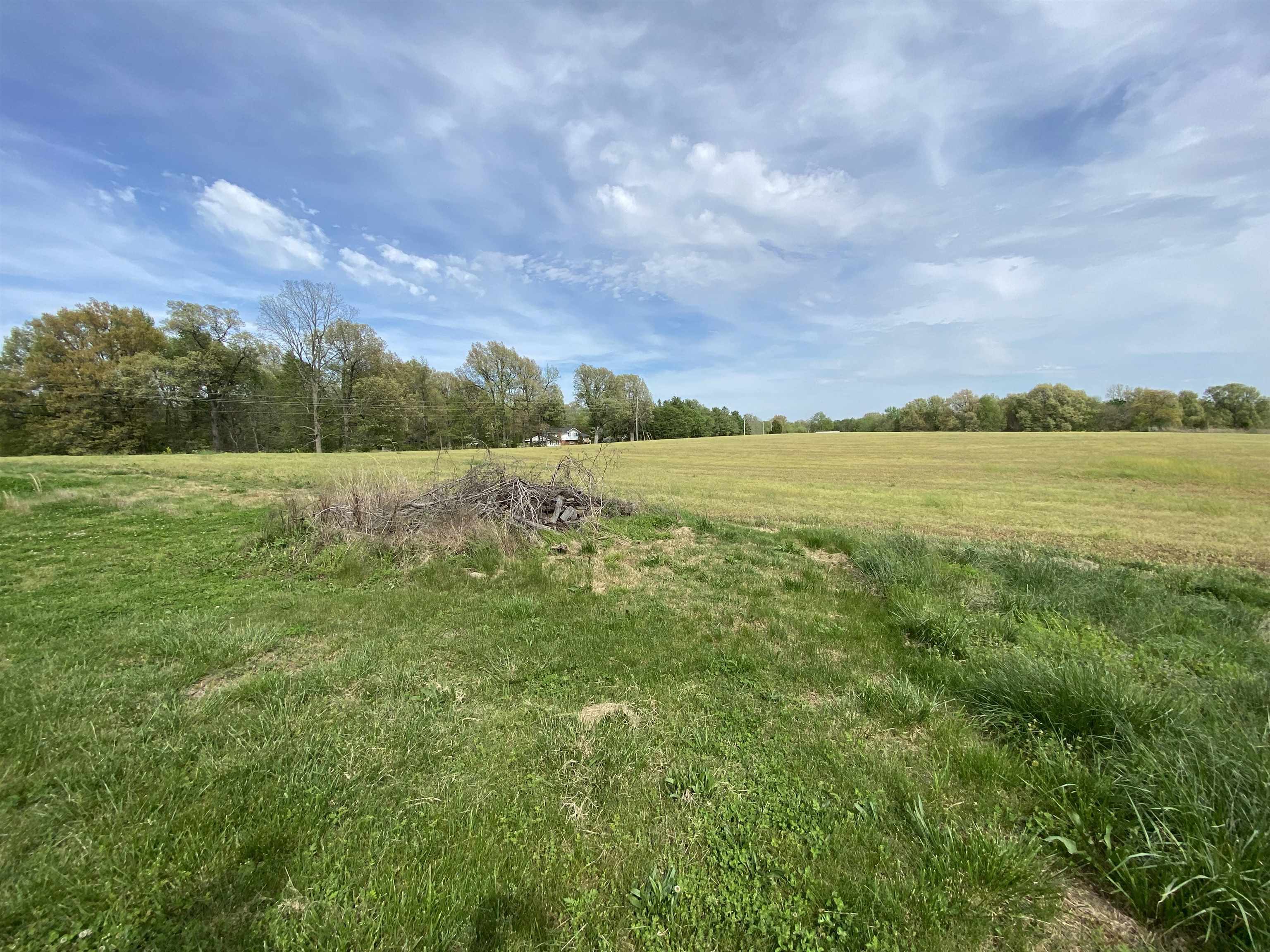 1175 Kentucky 254, Sacramento, Kentucky 42372, ,Farm,For Sale,Kentucky 254,91147