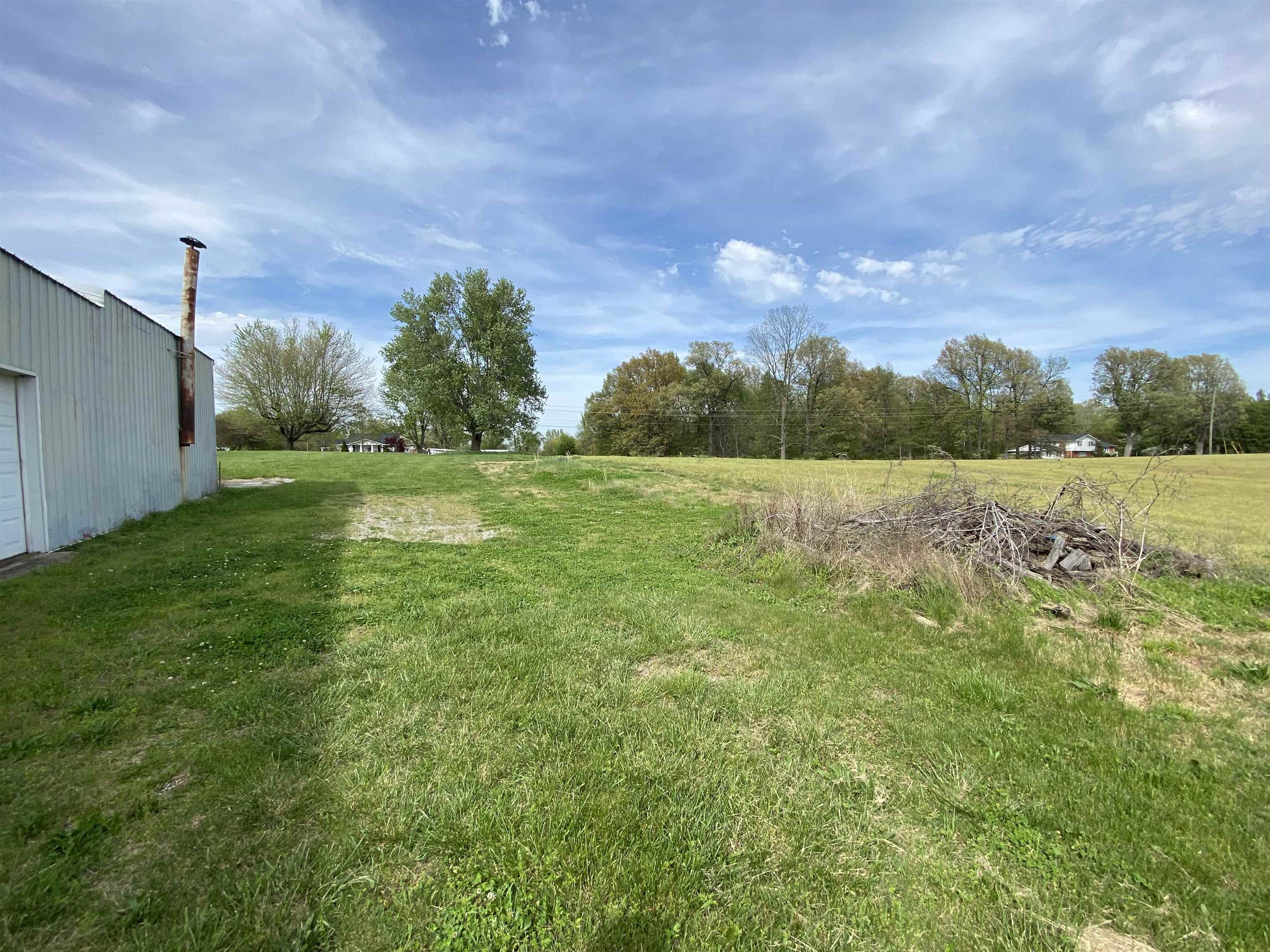 1175 Kentucky 254, Sacramento, Kentucky 42372, ,Farm,For Sale,Kentucky 254,91147