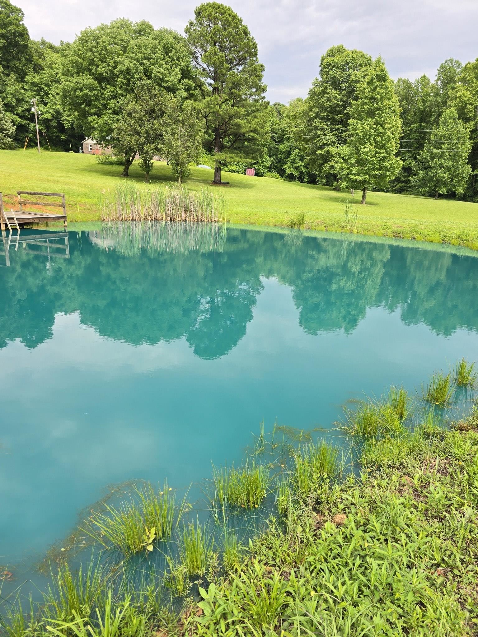 141 Sugar Grove Road, Whitesville, Kentucky 42378, 3 Bedrooms Bedrooms, ,2 BathroomsBathrooms,Single Family Residence,For Sale,Sugar Grove Road,91178