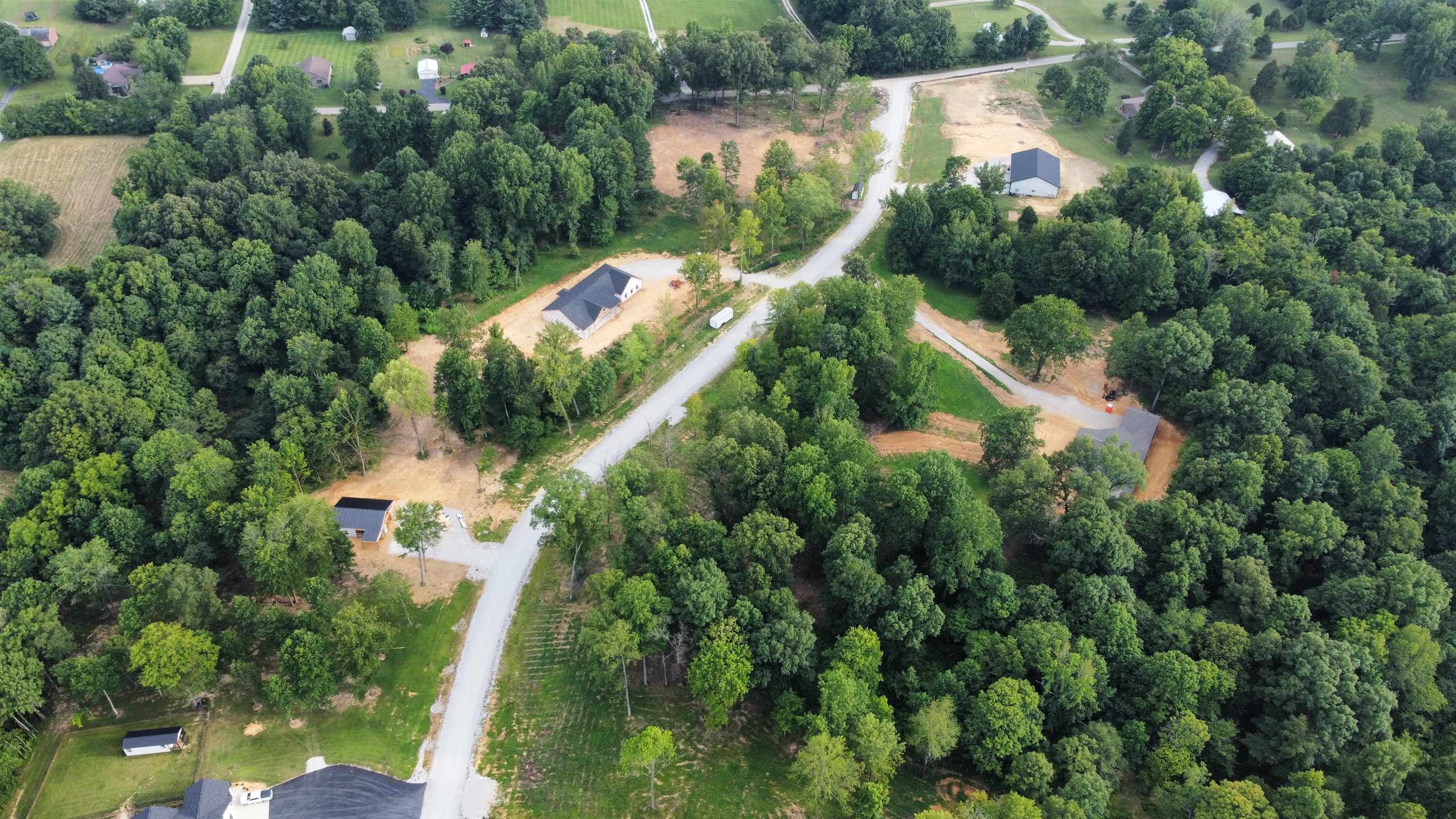 88 Odessa Drive, Utica, Kentucky 42376, ,Land,For Sale,Odessa Drive,91220