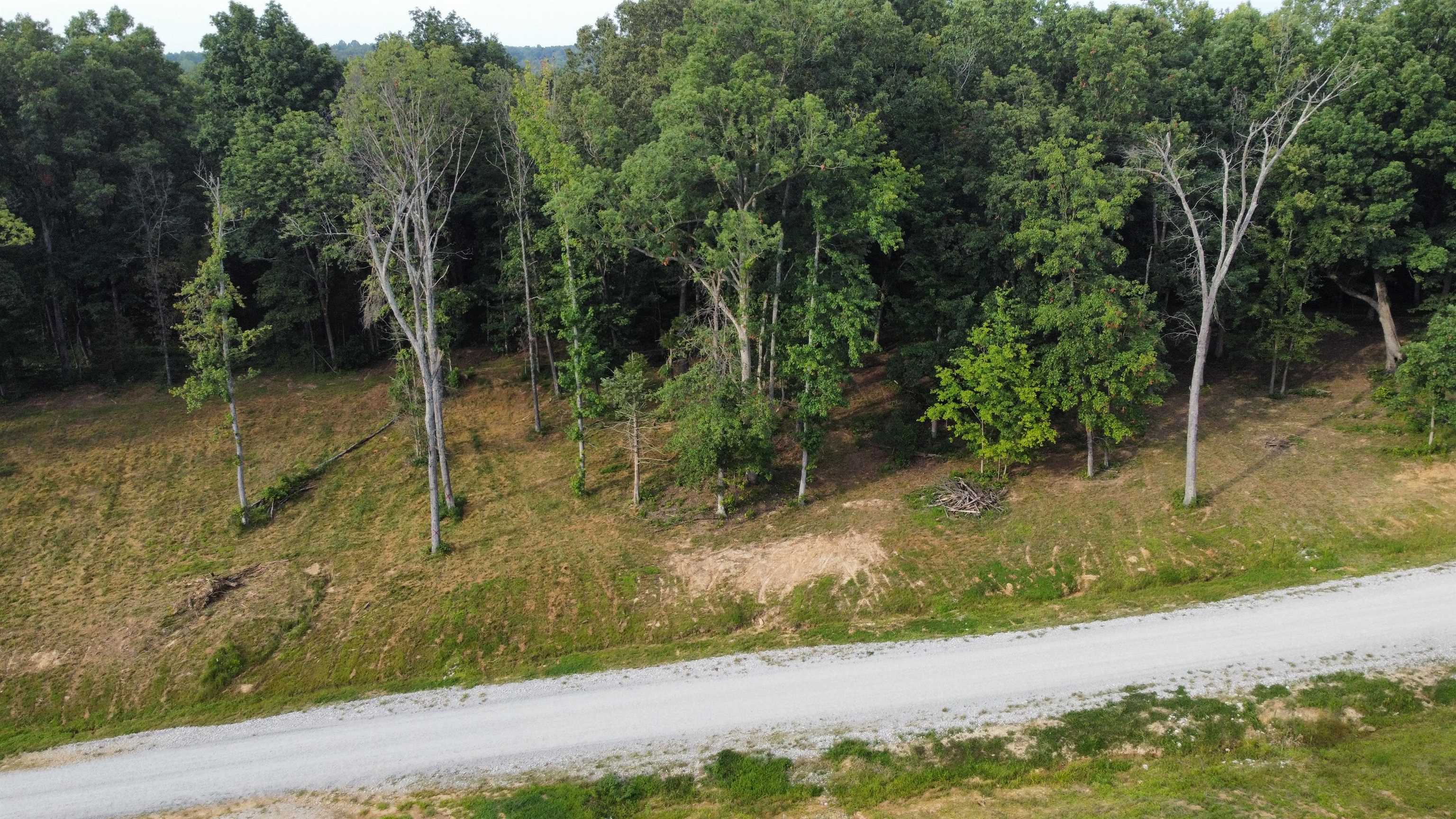 88 Odessa Drive, Utica, Kentucky 42376, ,Land,For Sale,Odessa Drive,91220