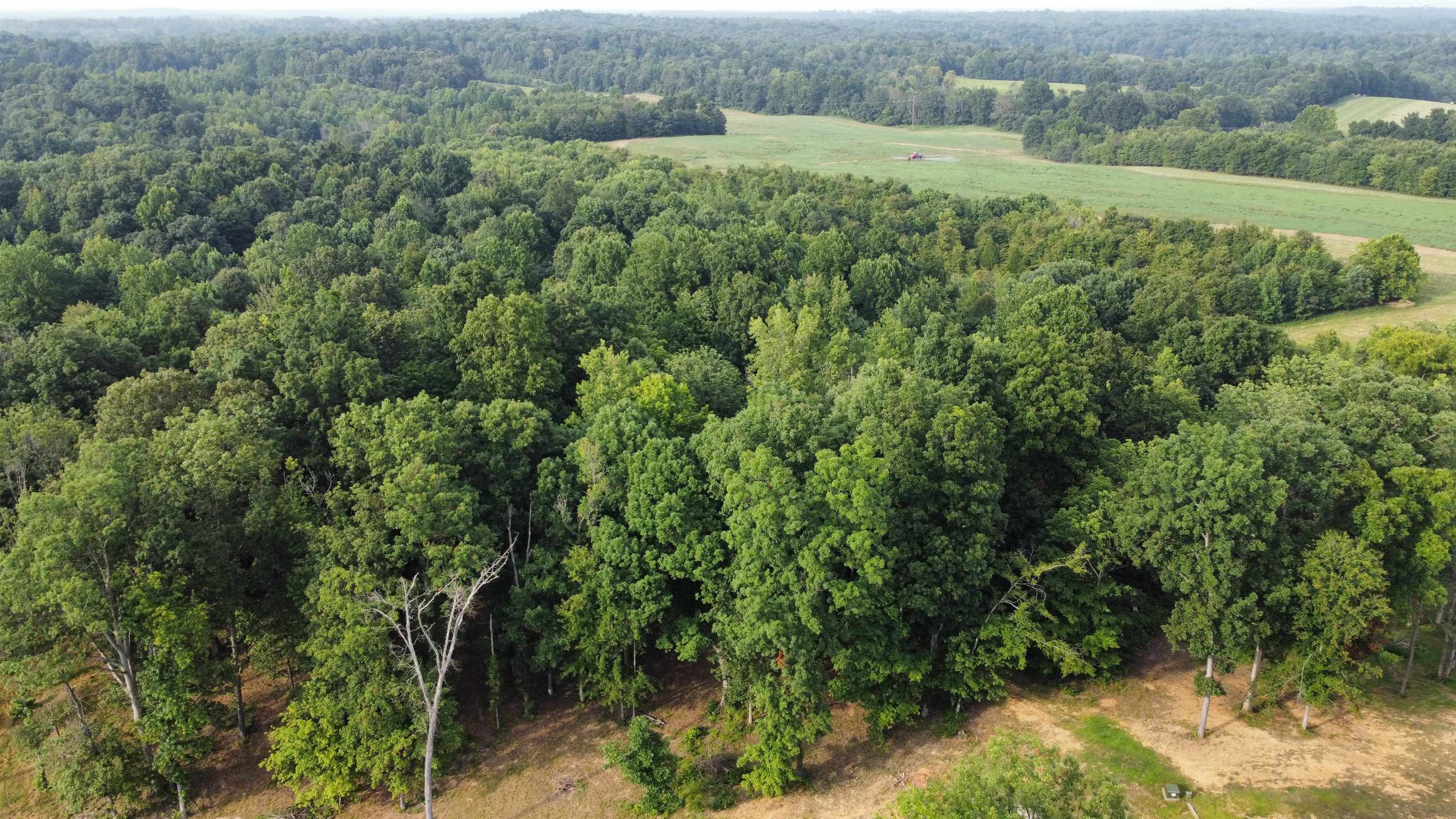 88 Odessa Drive, Utica, Kentucky 42376, ,Land,For Sale,Odessa Drive,91220