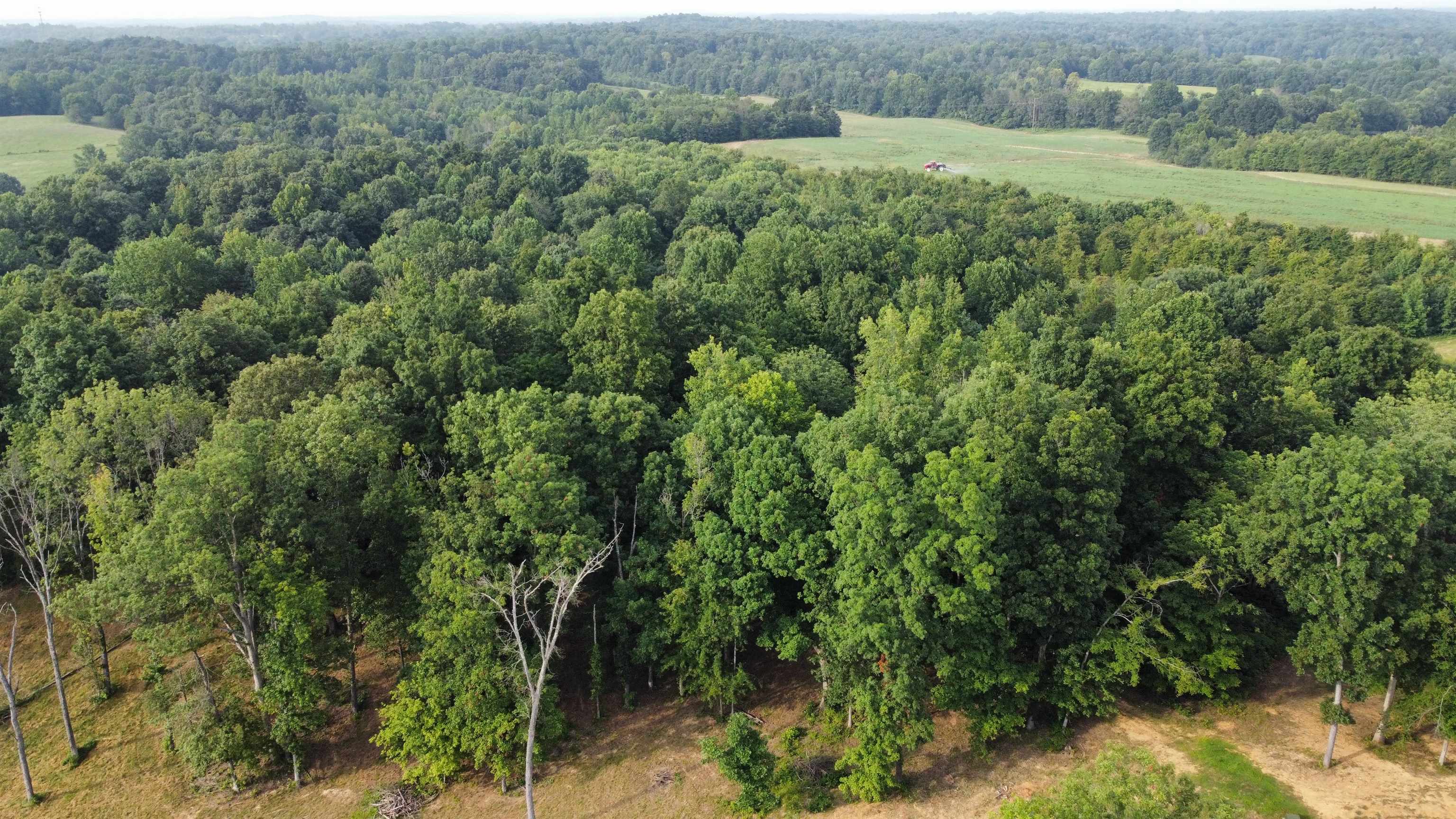 88 Odessa Drive, Utica, Kentucky 42376, ,Land,For Sale,Odessa Drive,91220