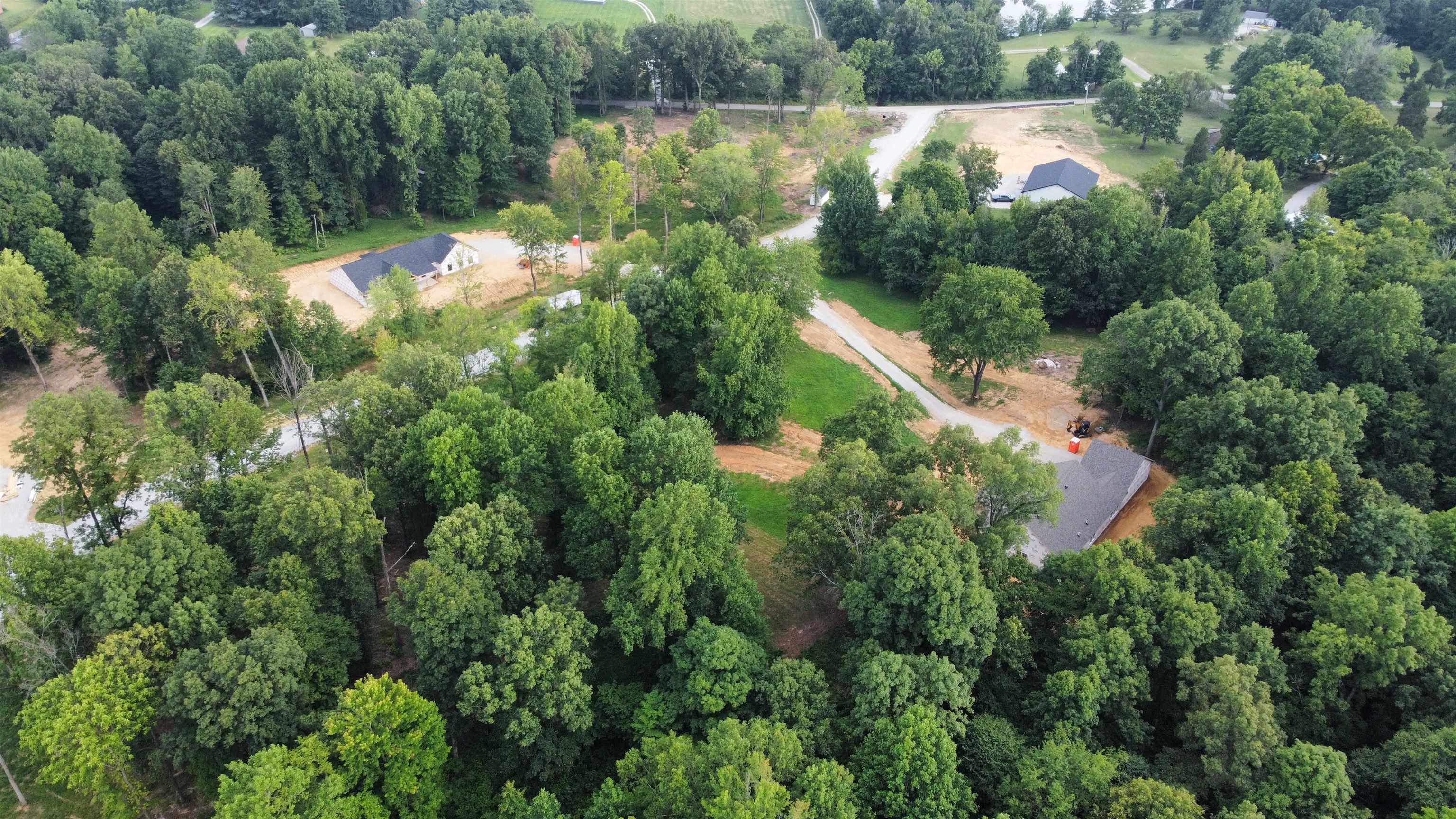 88 Odessa Drive, Utica, Kentucky 42376, ,Land,For Sale,Odessa Drive,91220