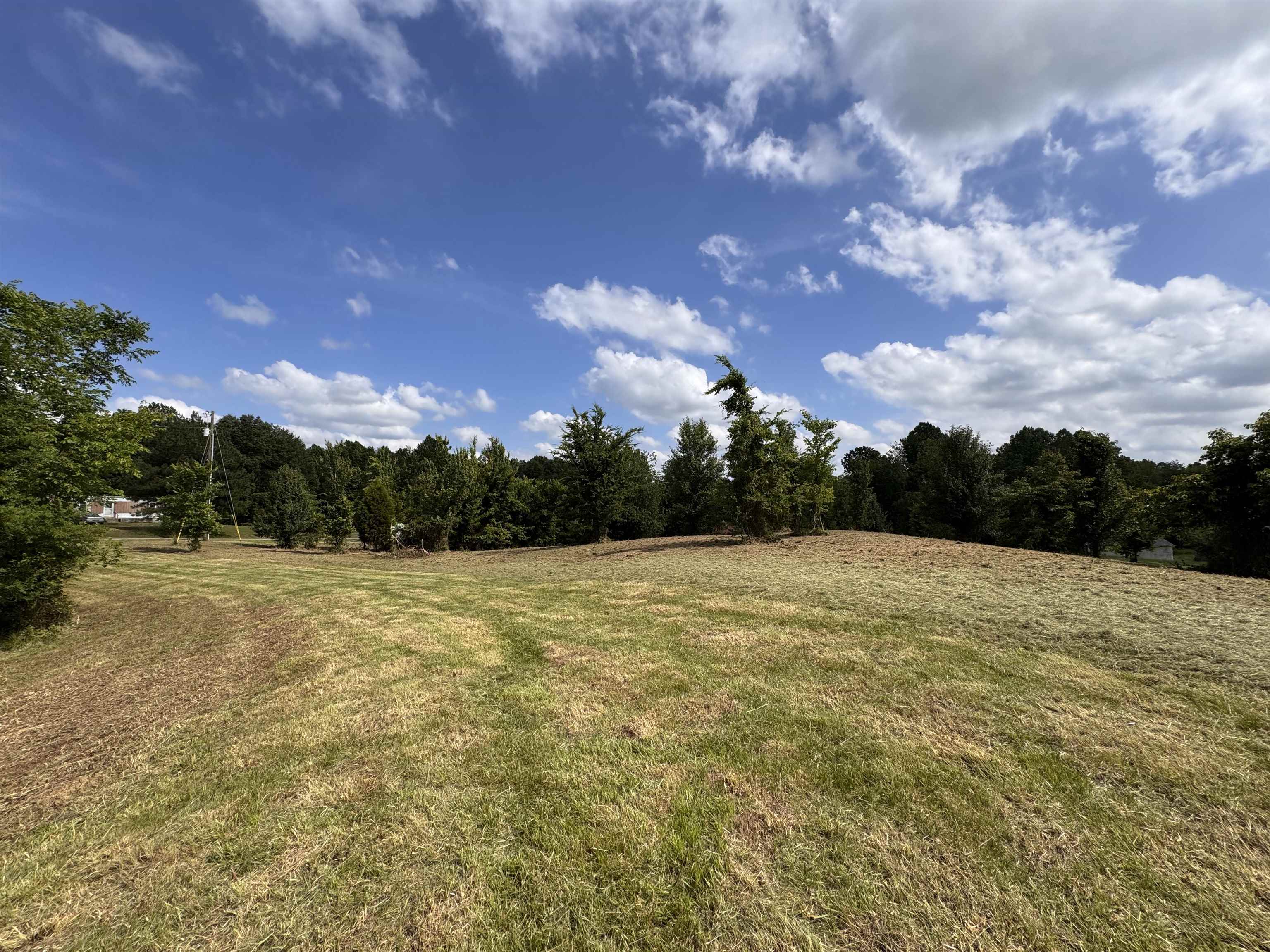 84 Mapleleaf Dr, Utica, Kentucky 42376, ,Land,For Sale,Mapleleaf Dr,91296