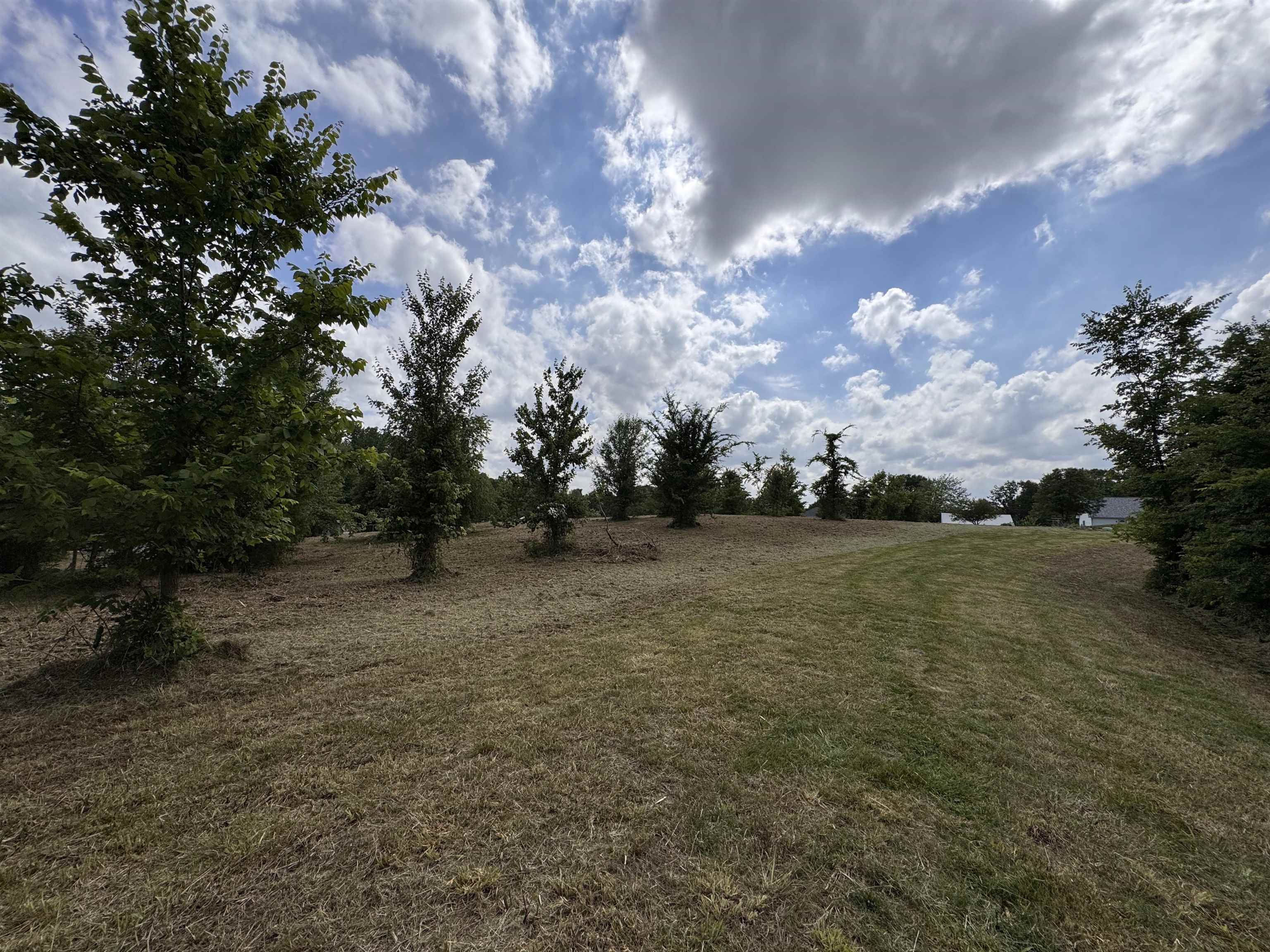 84 Mapleleaf Dr, Utica, Kentucky 42376, ,Land,For Sale,Mapleleaf Dr,91296