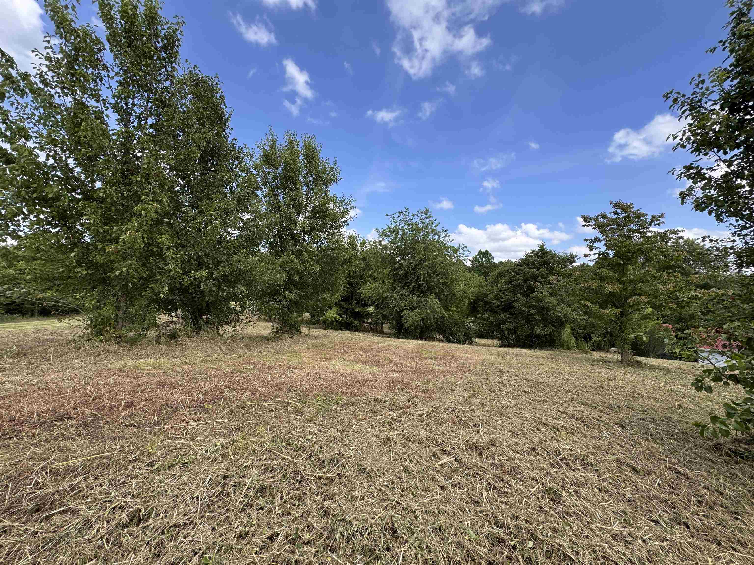 84 Mapleleaf Dr, Utica, Kentucky 42376, ,Land,For Sale,Mapleleaf Dr,91296