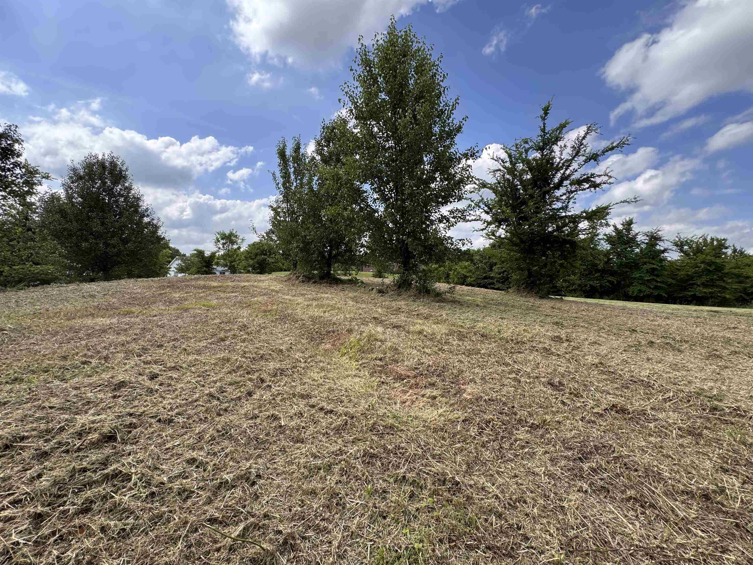 84 Mapleleaf Dr, Utica, Kentucky 42376, ,Land,For Sale,Mapleleaf Dr,91296