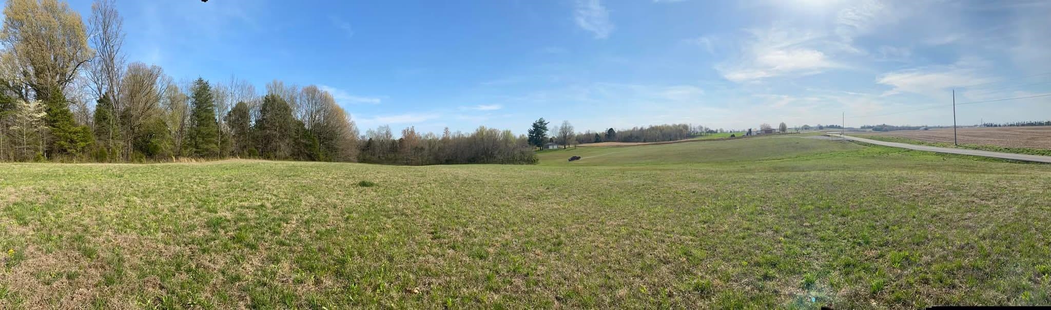 3151 St Rt 85 E, Island, Kentucky 42350, ,Land,For Sale,St Rt 85 E,91319