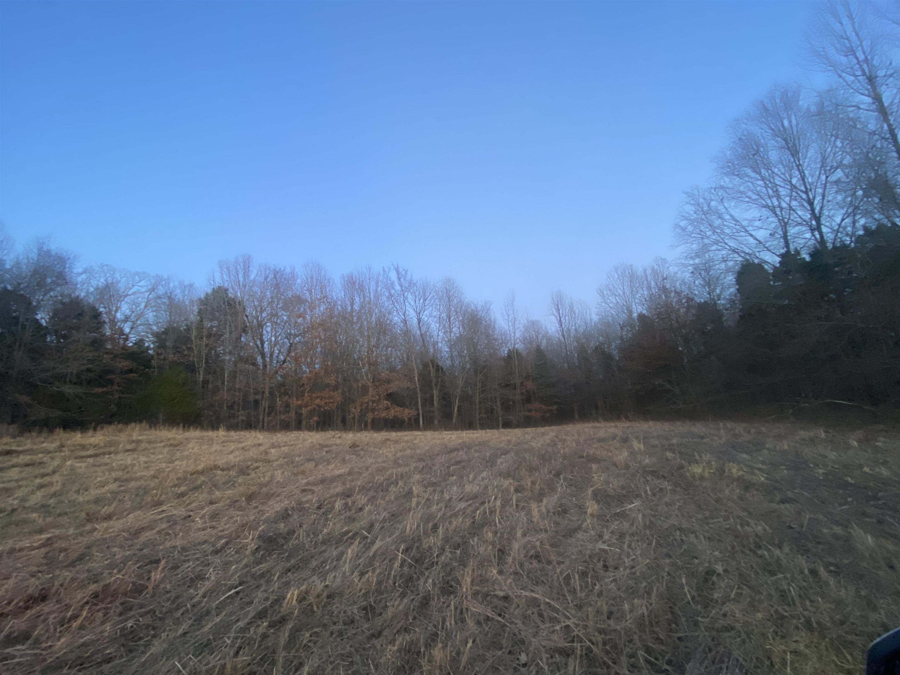3151 St Rt 85 E, Island, Kentucky 42350, ,Land,For Sale,St Rt 85 E,91319