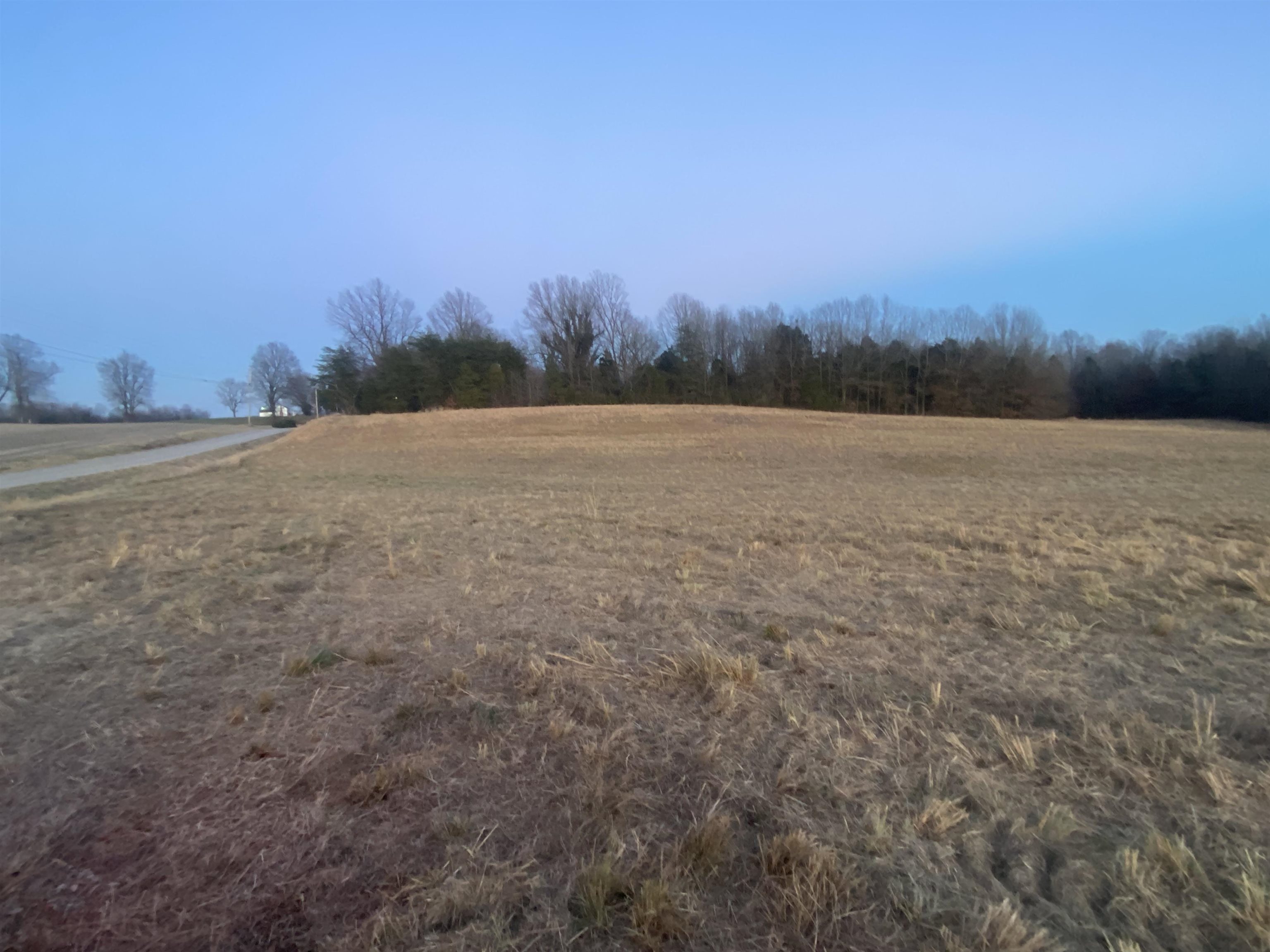 3151 St Rt 85 E, Island, Kentucky 42350, ,Land,For Sale,St Rt 85 E,91319