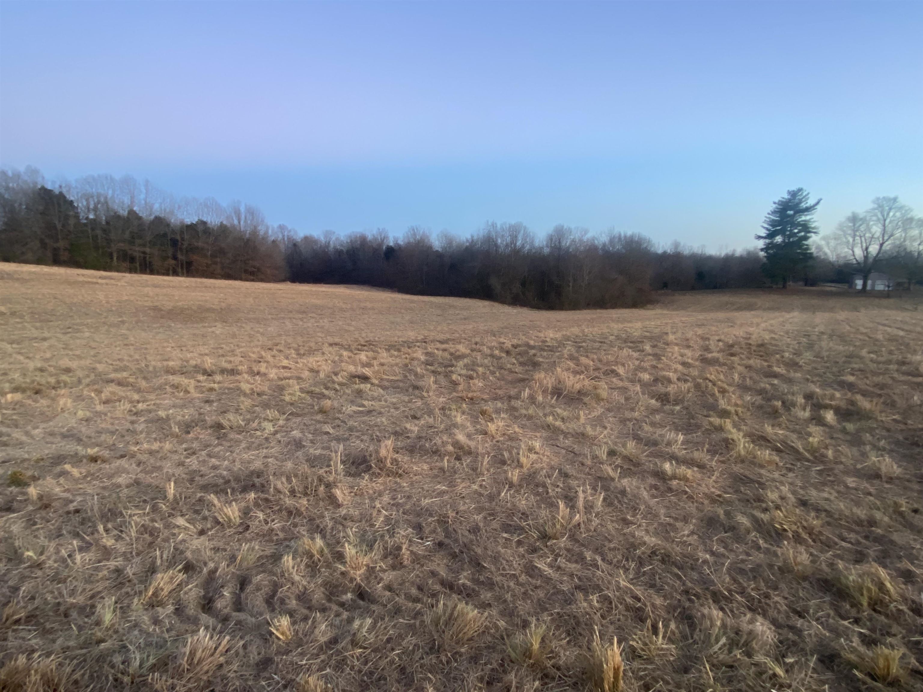 3151 St Rt 85 E, Island, Kentucky 42350, ,Land,For Sale,St Rt 85 E,91319