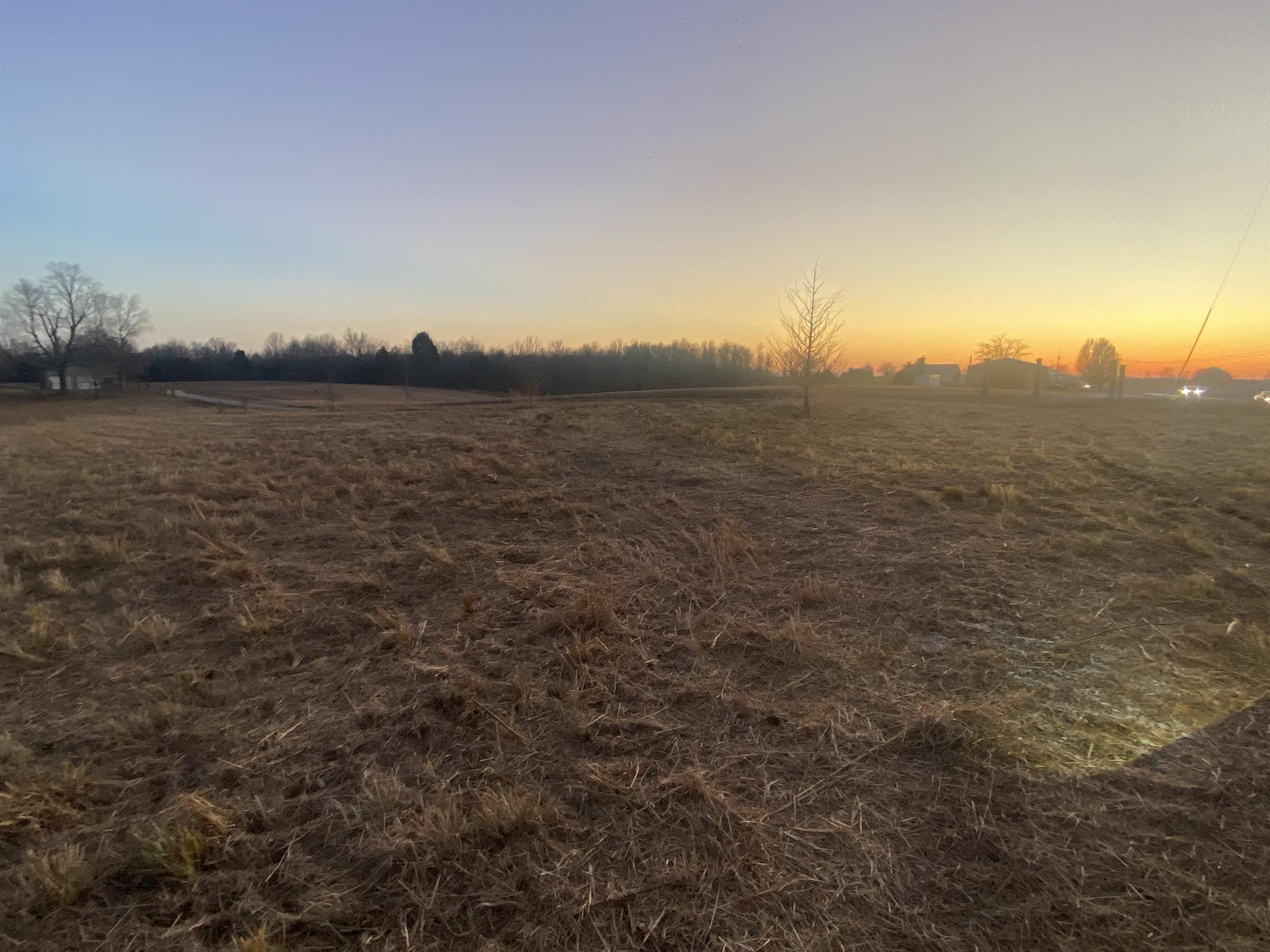 3151 St Rt 85 E, Island, Kentucky 42350, ,Land,For Sale,St Rt 85 E,91319