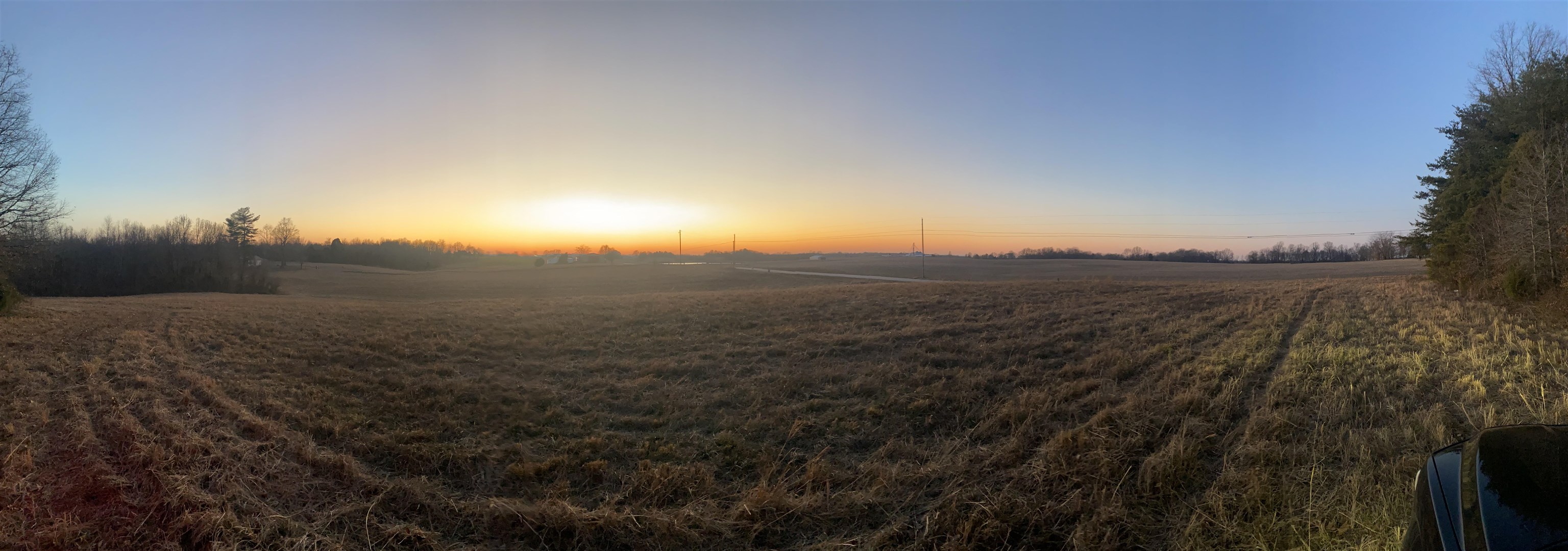 3151 St Rt 85 E, Island, Kentucky 42350, ,Land,For Sale,St Rt 85 E,91319