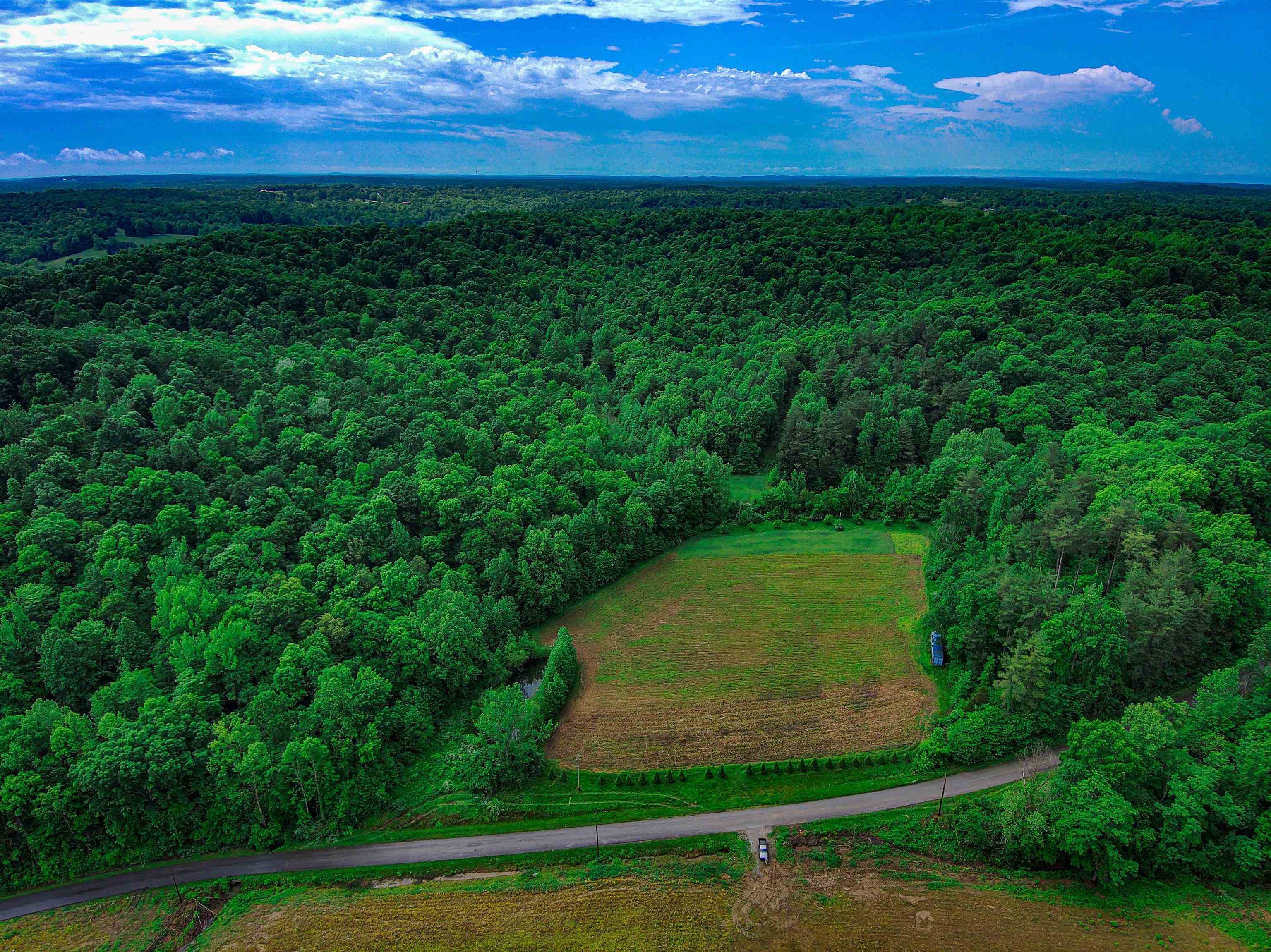 0 Goff Cemetery Rd, Caneyville, Kentucky 42721, ,Farm,For Sale,Goff Cemetery Rd,91364