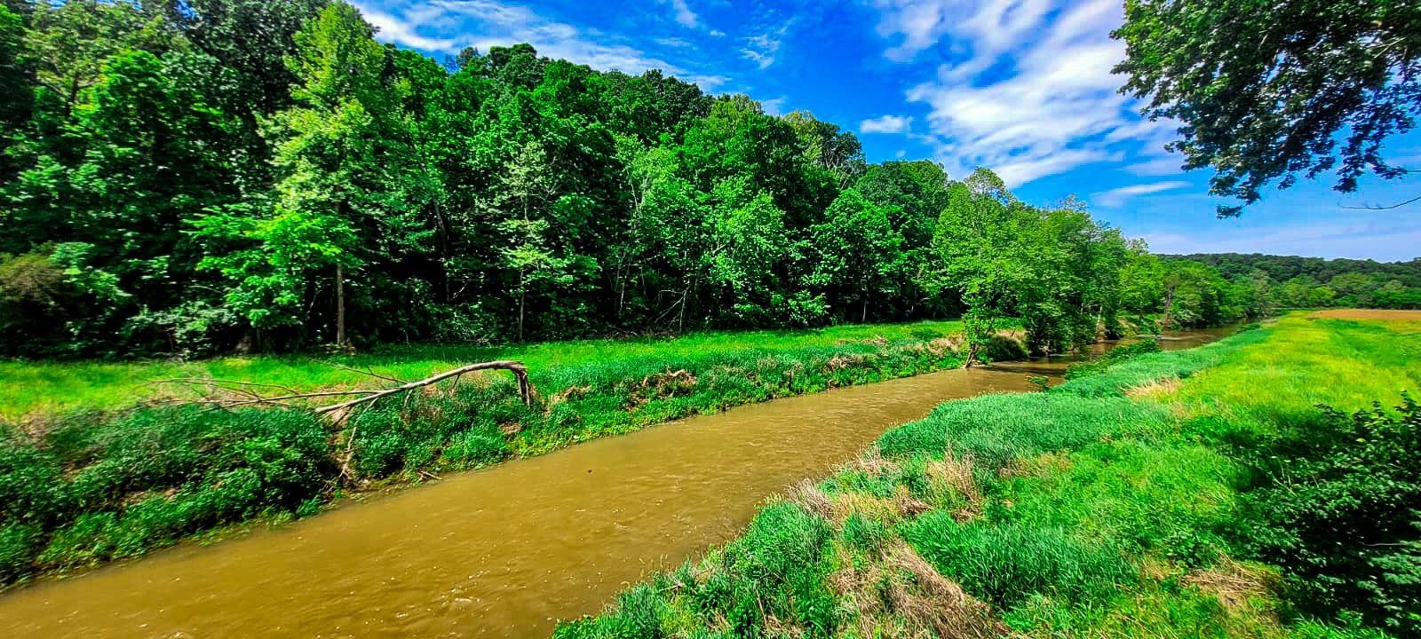 0 Goff Cemetery Rd, Caneyville, Kentucky 42721, ,Farm,For Sale,Goff Cemetery Rd,91364