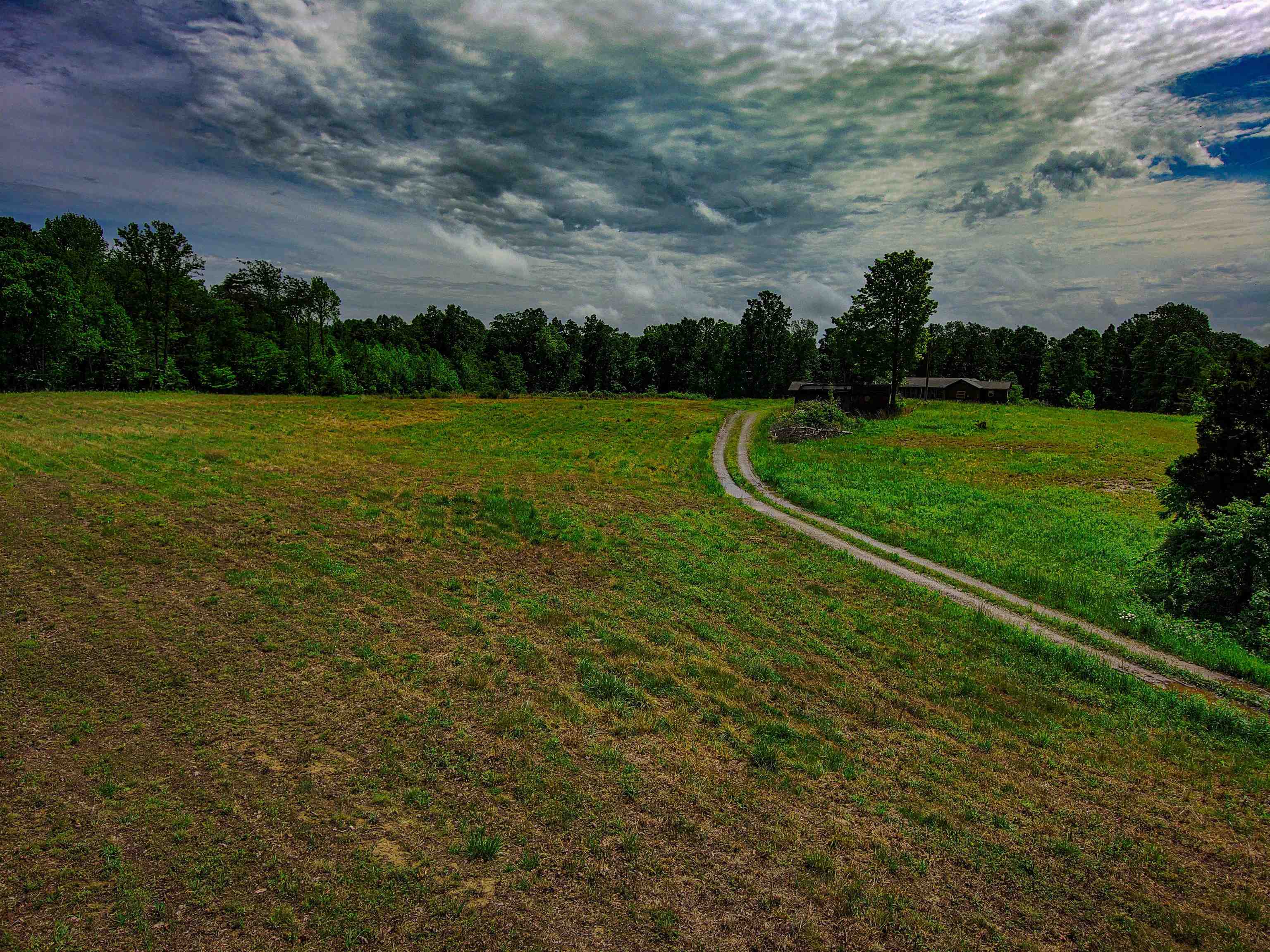 0 Goff Cemetery Rd, Caneyville, Kentucky 42721, ,Farm,For Sale,Goff Cemetery Rd,91364