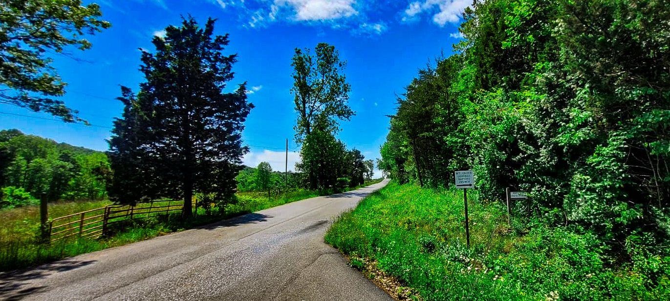 0 Goff Cemetery Rd, Caneyville, Kentucky 42721, ,Farm,For Sale,Goff Cemetery Rd,91364