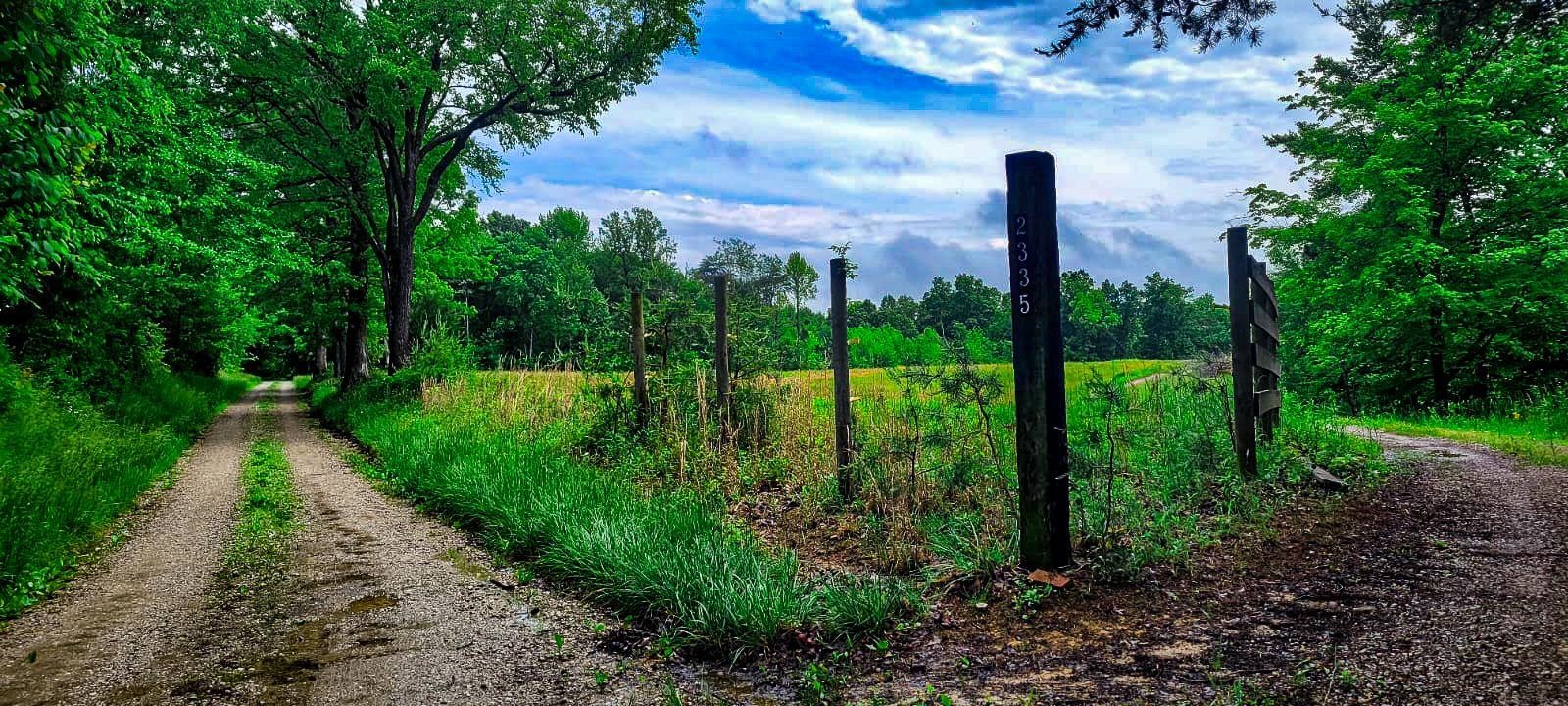 2335 Dogwalk Rd, Horse Branch, Kentucky 42349, ,Land,For Sale,Dogwalk Rd,91368
