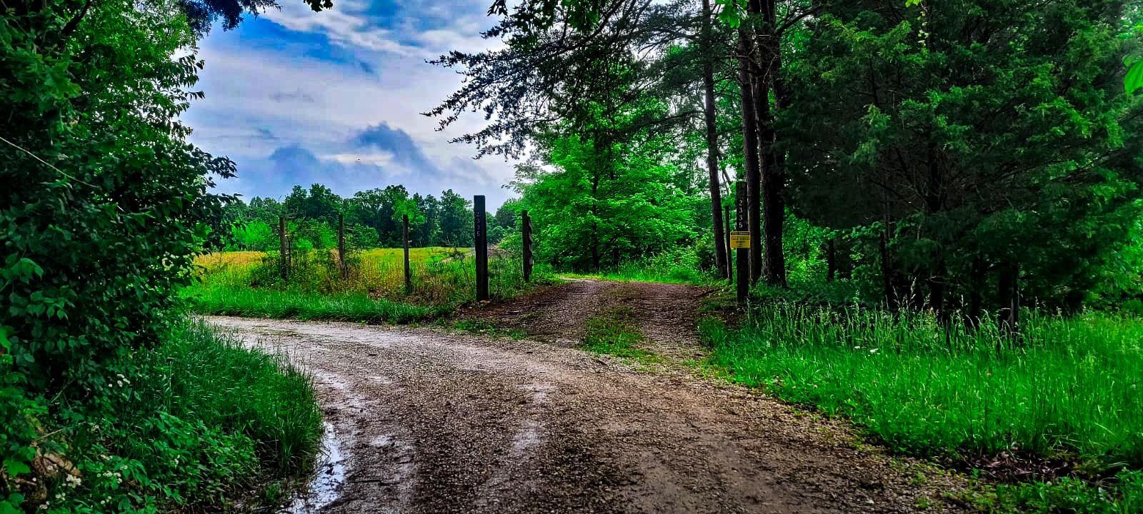 2335 Dogwalk Rd, Horse Branch, Kentucky 42349, ,Land,For Sale,Dogwalk Rd,91368