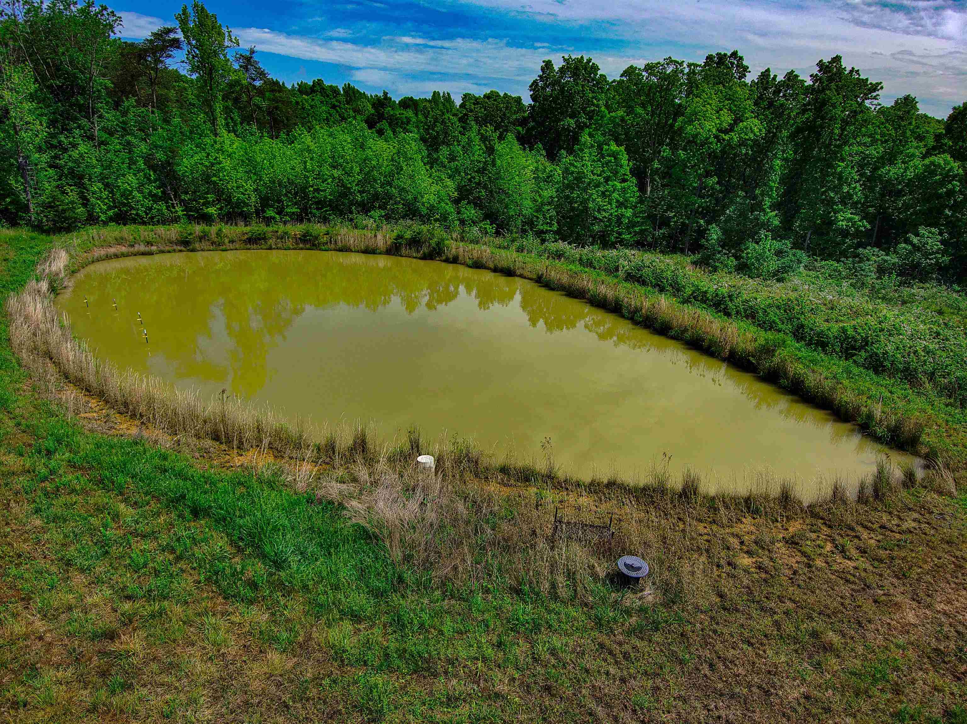 2335 Dogwalk Rd, Horse Branch, Kentucky 42349, ,Land,For Sale,Dogwalk Rd,91368