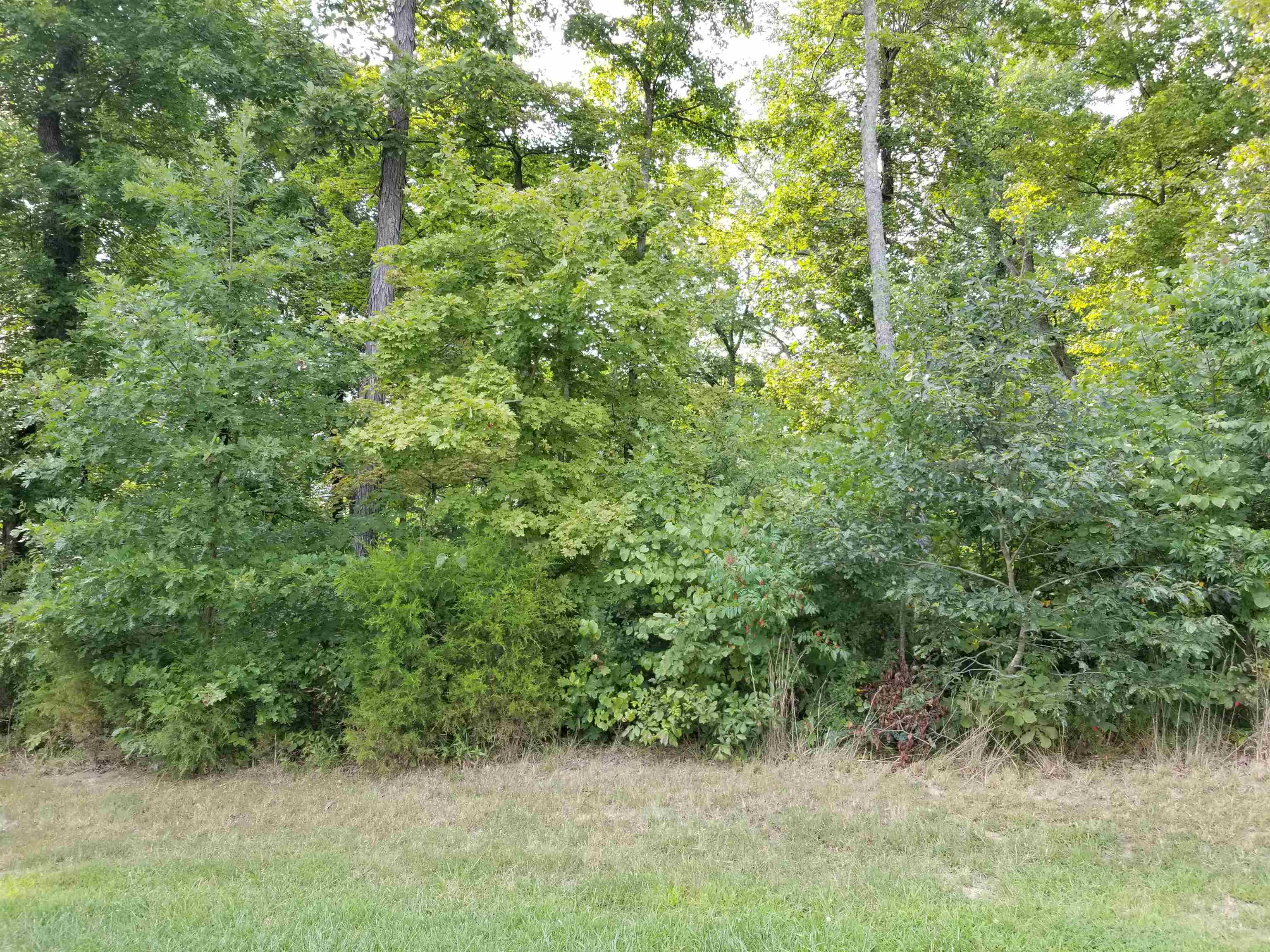 Lot 55 Patriots Landing Ln., Falls of Rough, Kentucky 40119, ,Land,For Sale,Patriots Landing Ln.,91384