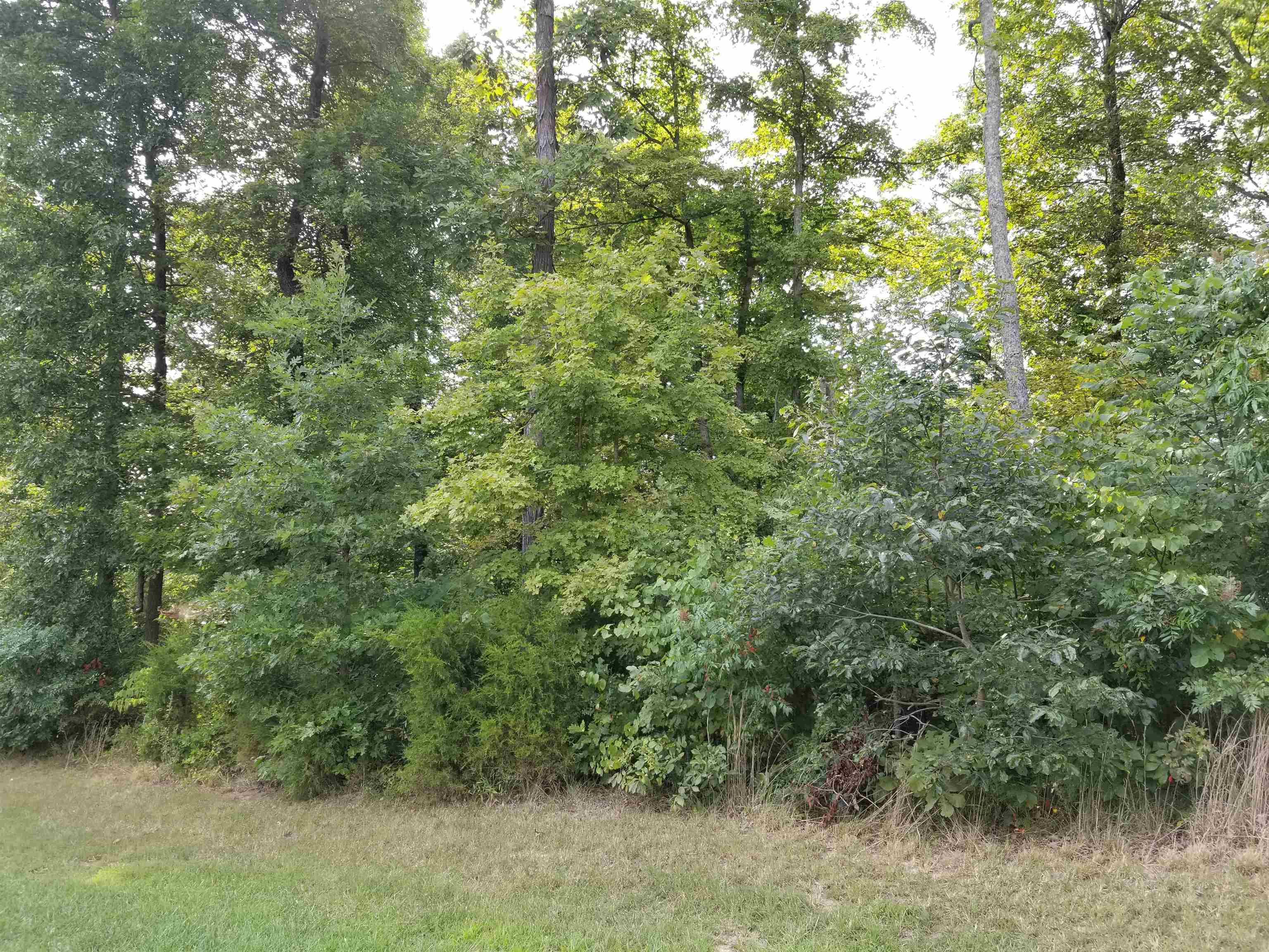 Lot 55 Patriots Landing Ln., Falls of Rough, Kentucky 40119, ,Land,For Sale,Patriots Landing Ln.,91384