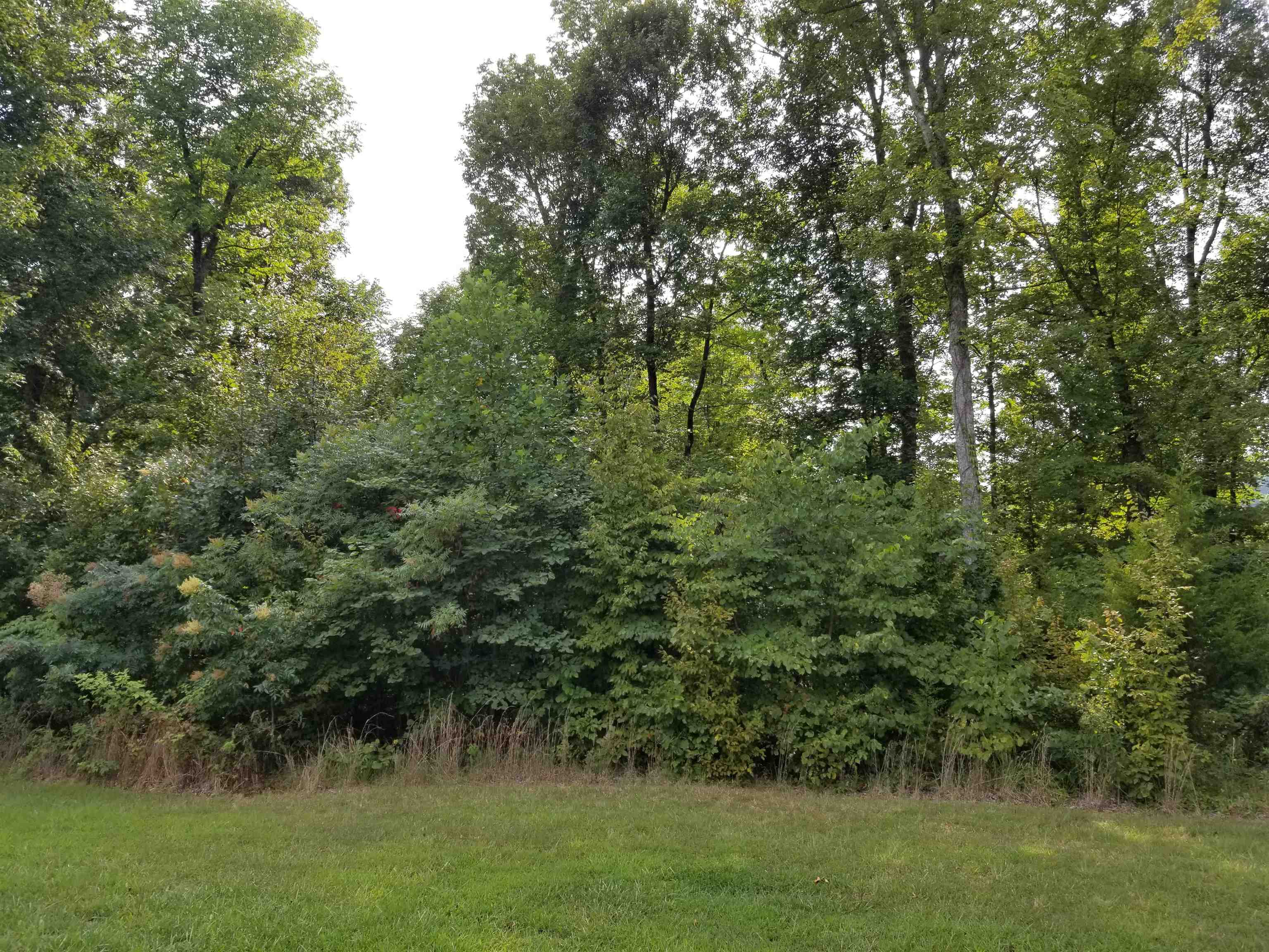 Lot 55 Patriots Landing Ln., Falls of Rough, Kentucky 40119, ,Land,For Sale,Patriots Landing Ln.,91384