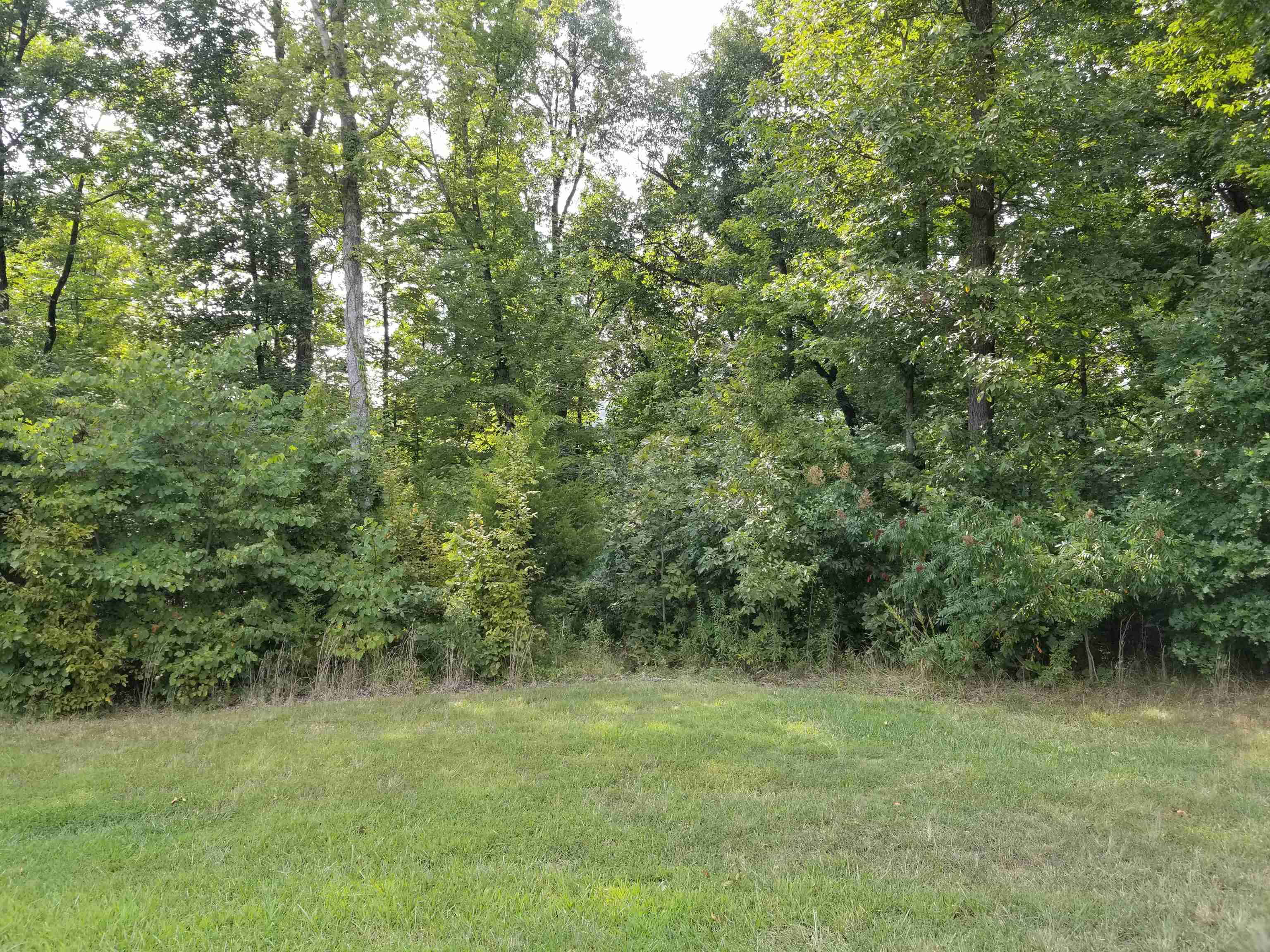 Lot 55 Patriots Landing Ln., Falls of Rough, Kentucky 40119, ,Land,For Sale,Patriots Landing Ln.,91384
