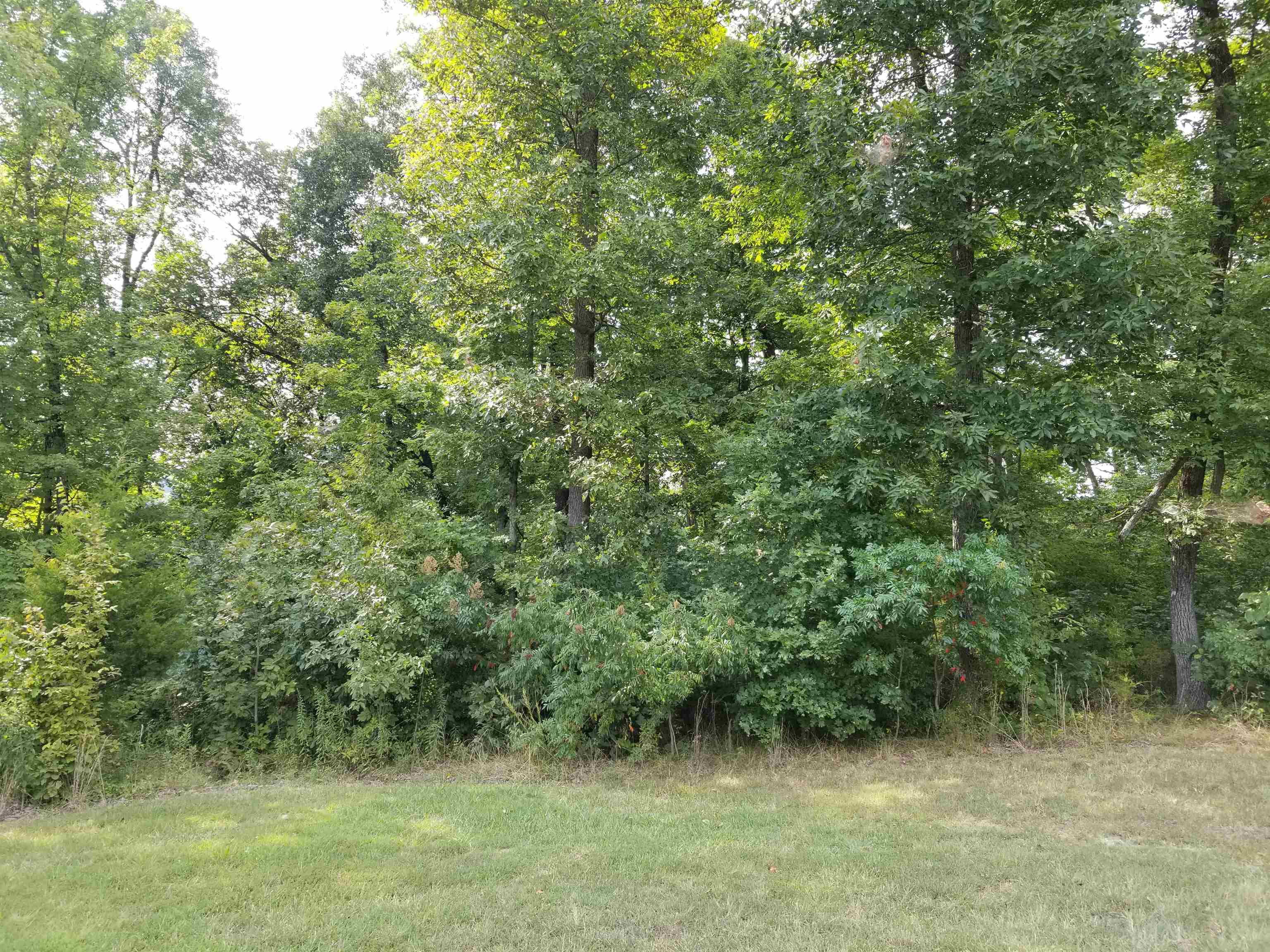 Lot 55 Patriots Landing Ln., Falls of Rough, Kentucky 40119, ,Land,For Sale,Patriots Landing Ln.,91384