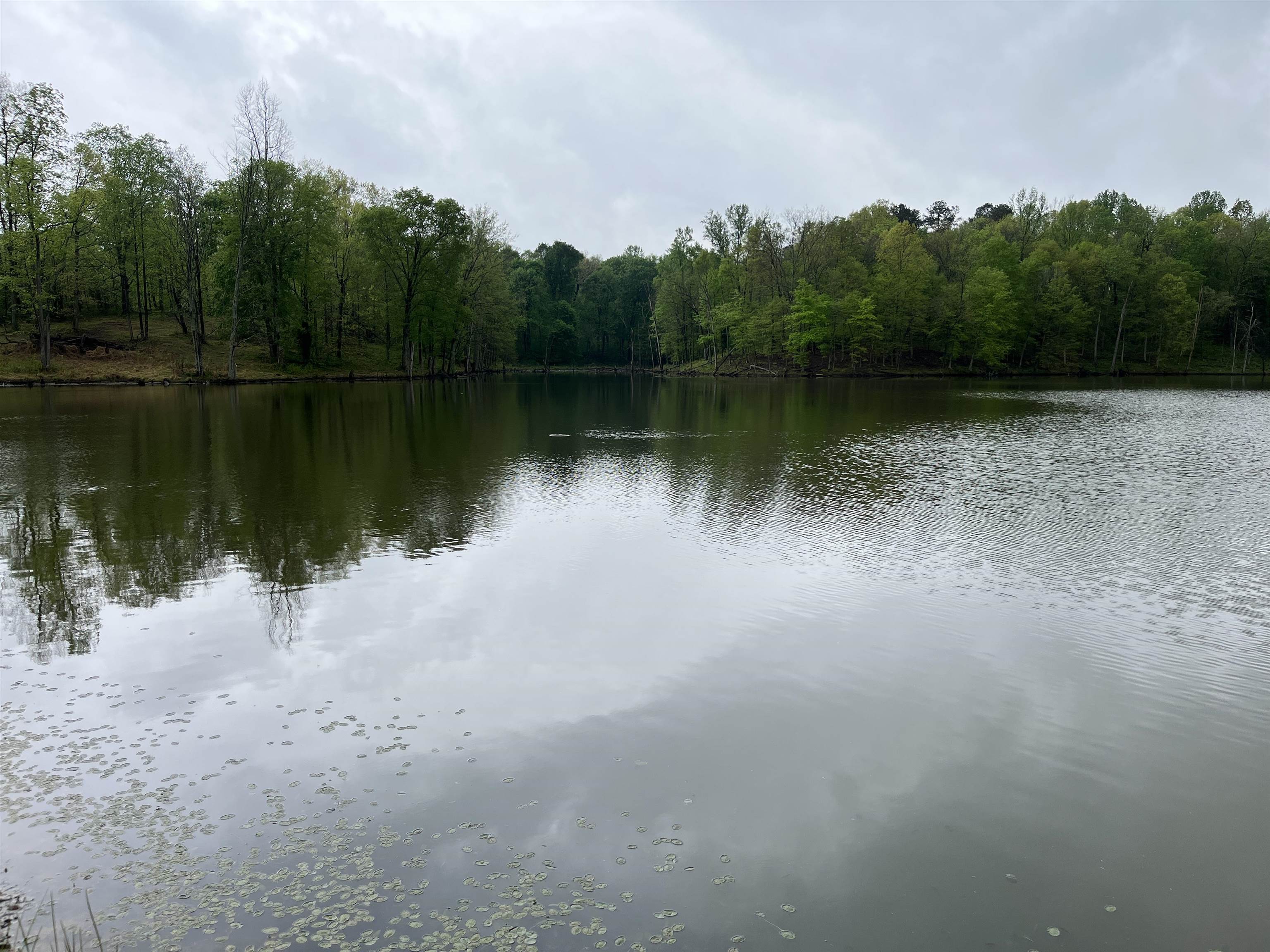 300 Baker Lane, Hawesville, Kentucky 42348, 5 Bedrooms Bedrooms, ,2 BathroomsBathrooms,Farm,For Sale,Baker Lane,91403