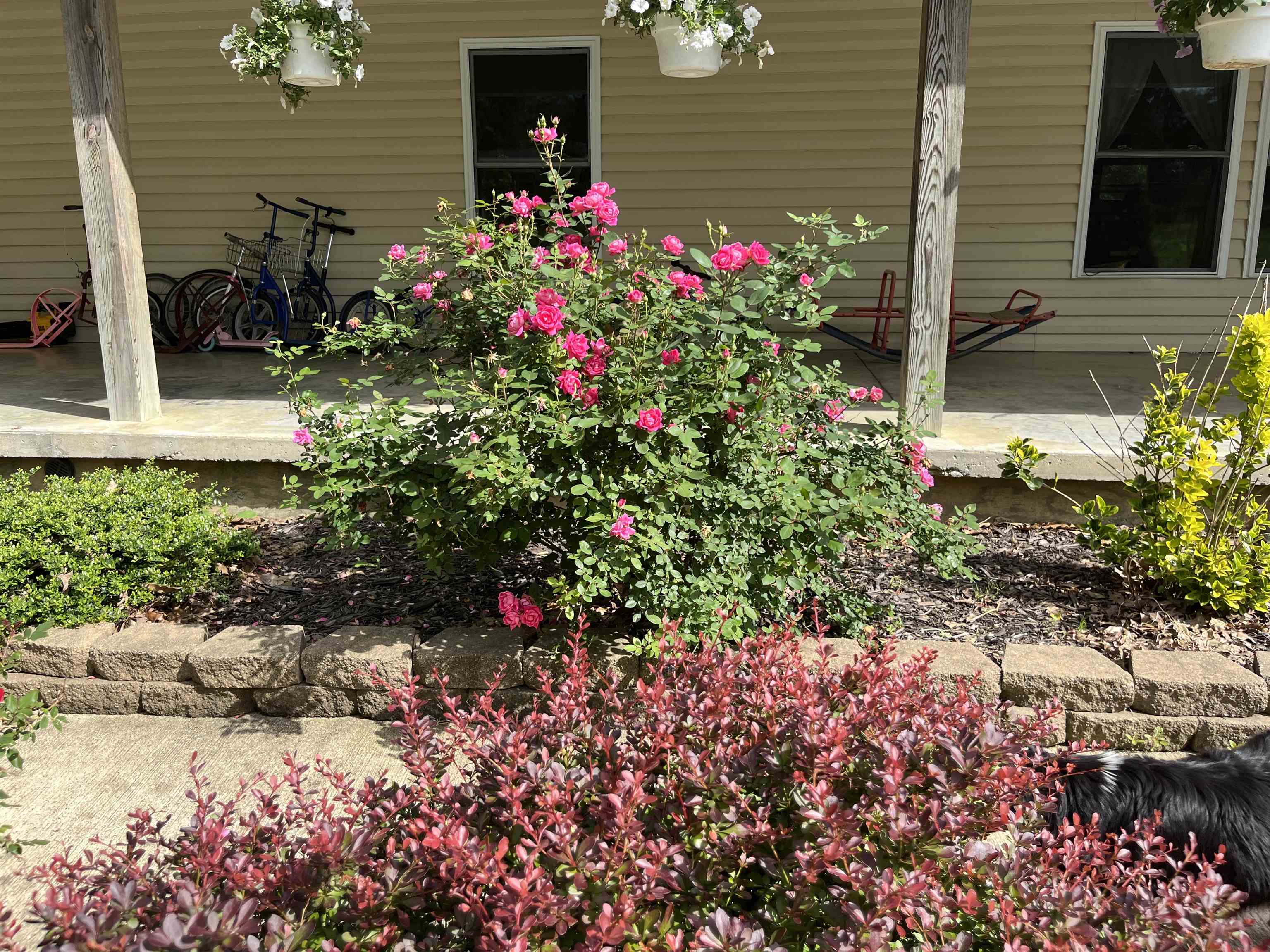 300 Baker Lane, Hawesville, Kentucky 42348, 5 Bedrooms Bedrooms, ,2 BathroomsBathrooms,Farm,For Sale,Baker Lane,91403