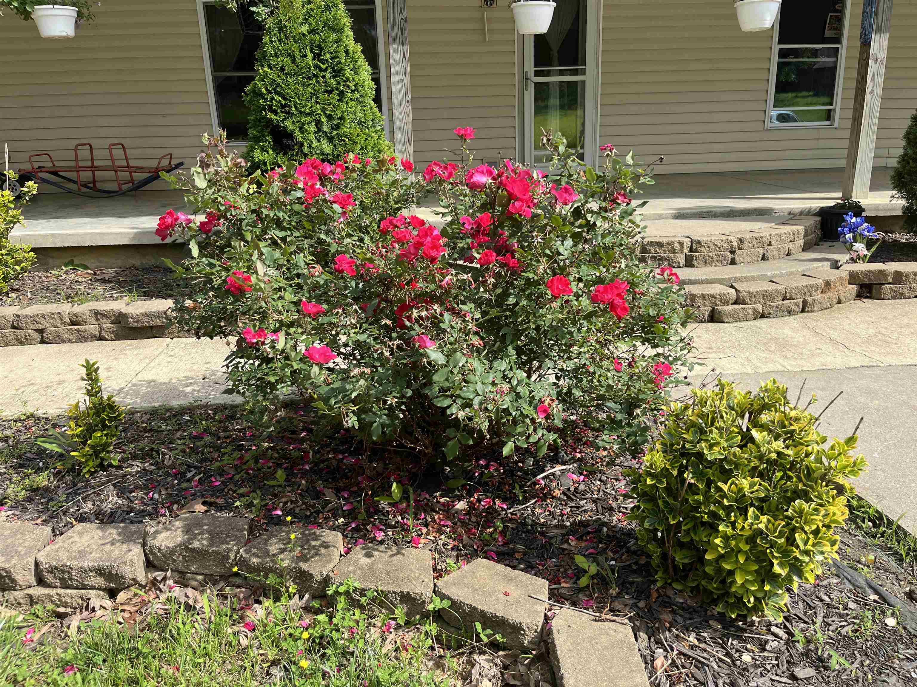 300 Baker Lane, Hawesville, Kentucky 42348, 5 Bedrooms Bedrooms, ,2 BathroomsBathrooms,Farm,For Sale,Baker Lane,91403