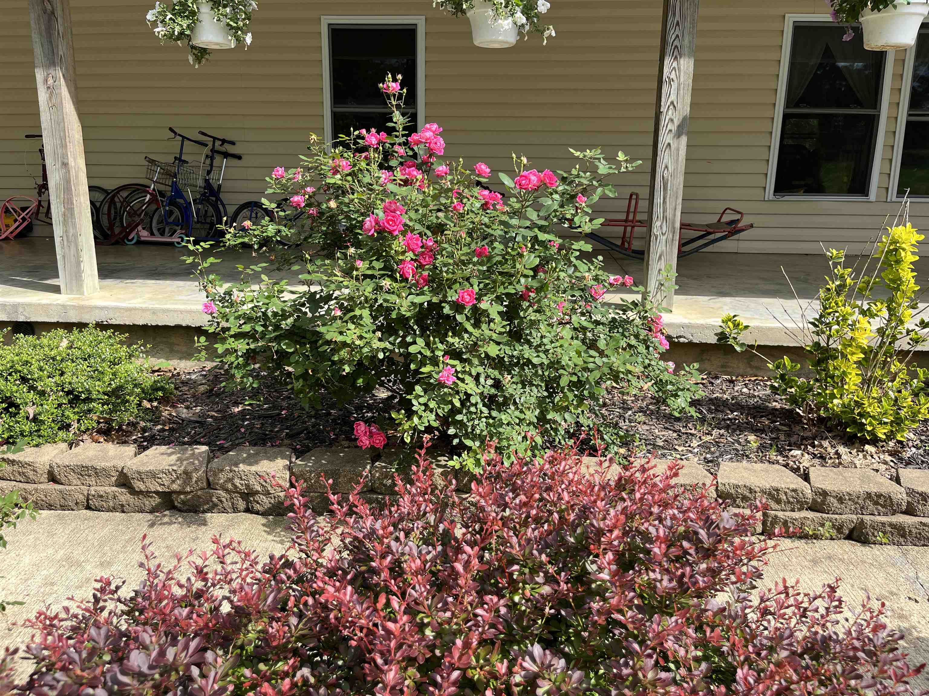 300 Baker Lane, Hawesville, Kentucky 42348, 5 Bedrooms Bedrooms, ,2 BathroomsBathrooms,Farm,For Sale,Baker Lane,91403