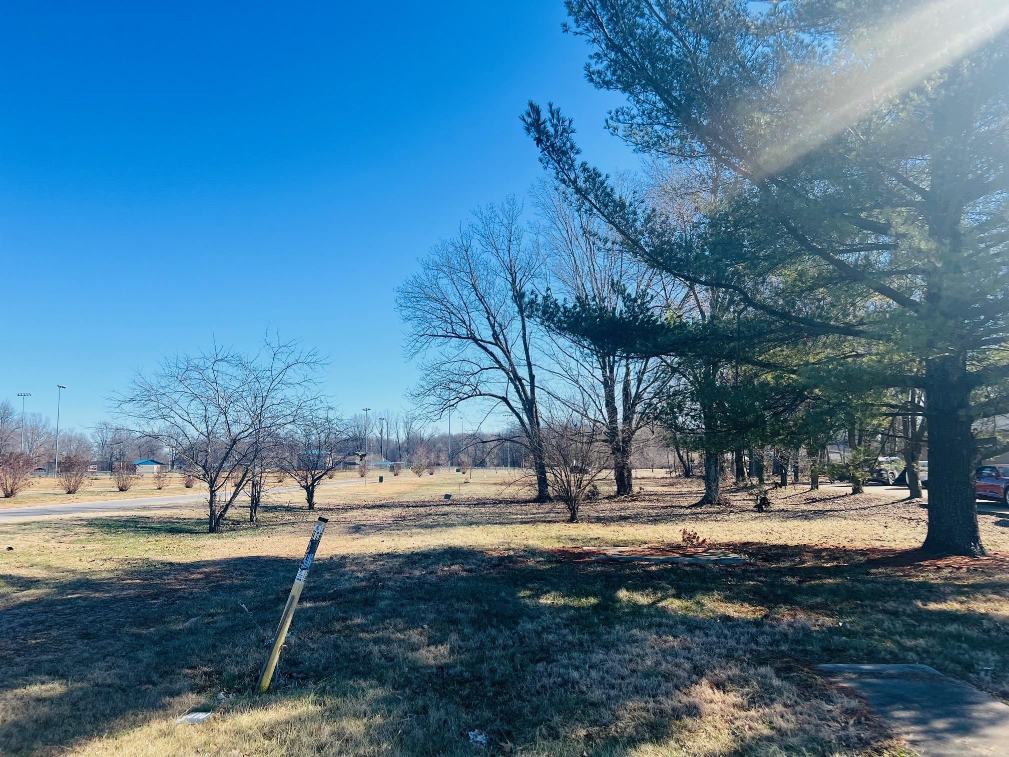 221 Main St, Beaver Dam, Kentucky 42320, ,Commercial Land,For Sale,Main St,91471