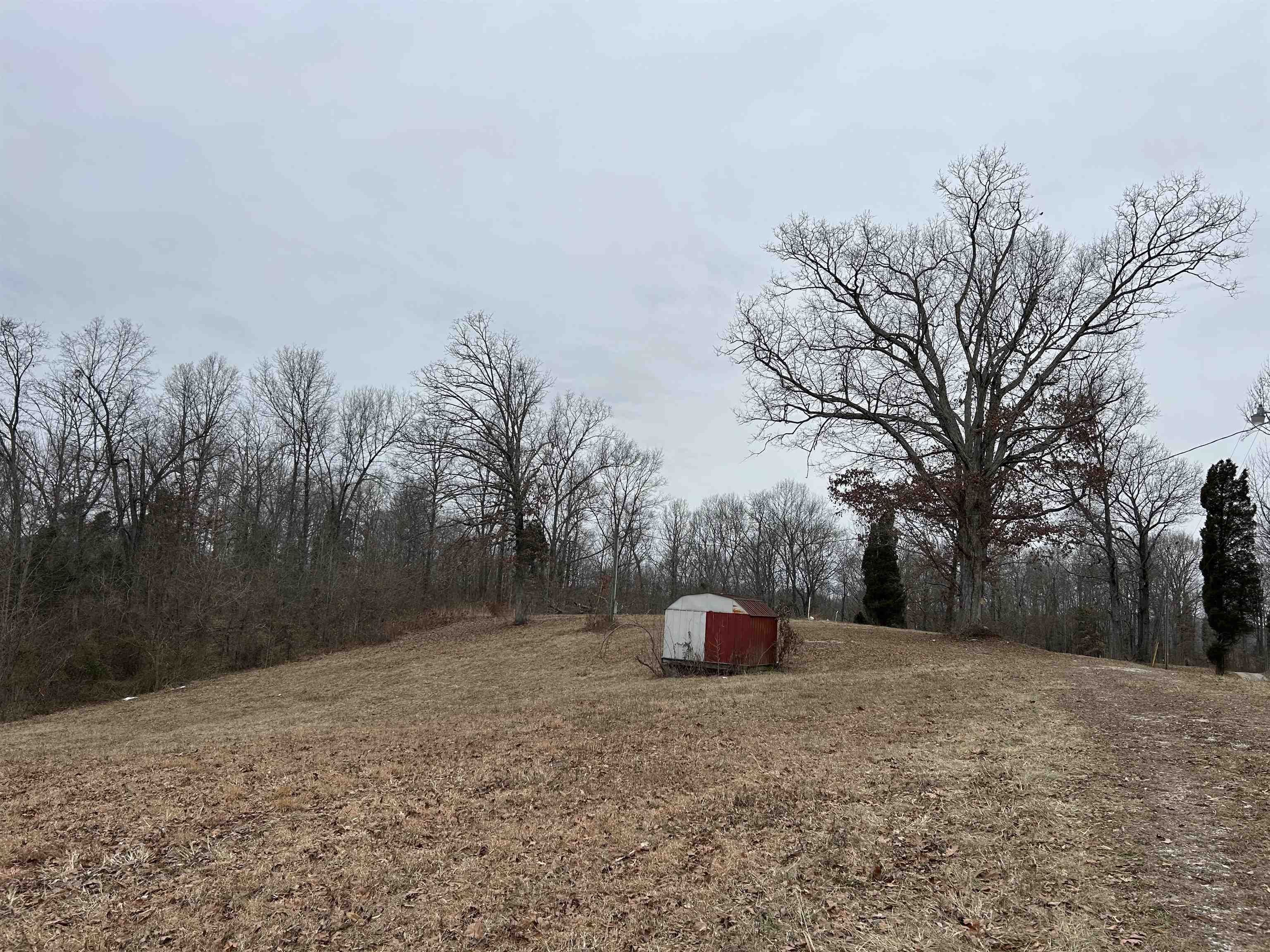 437 Tom Bolin Rd, Lewisport, Kentucky 42351, ,Land,For Sale,Tom Bolin Rd,91480