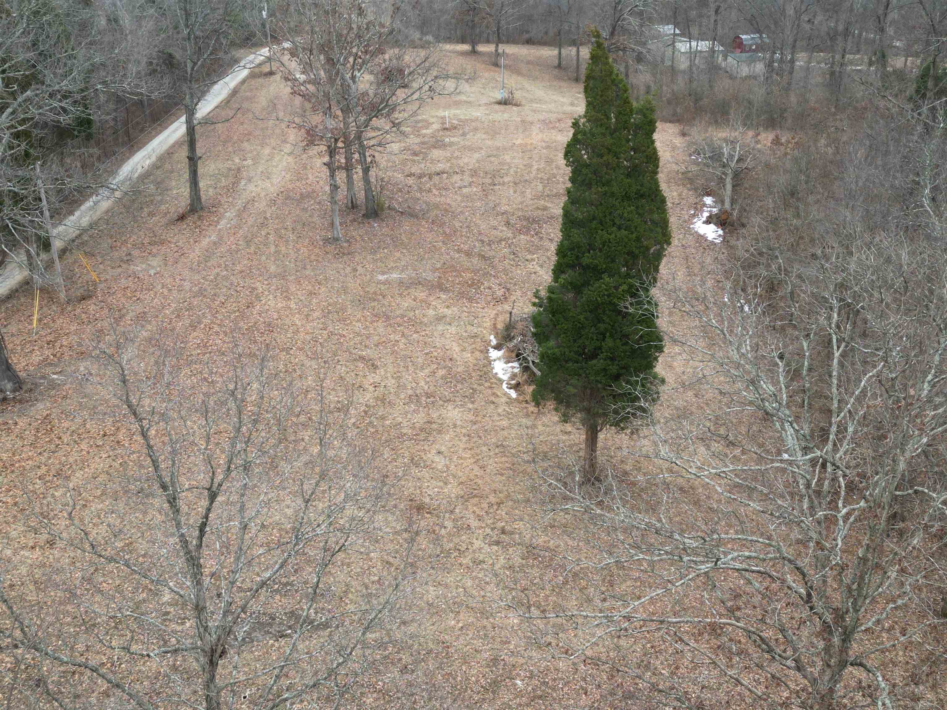 437 Tom Bolin Rd, Lewisport, Kentucky 42351, ,Land,For Sale,Tom Bolin Rd,91480