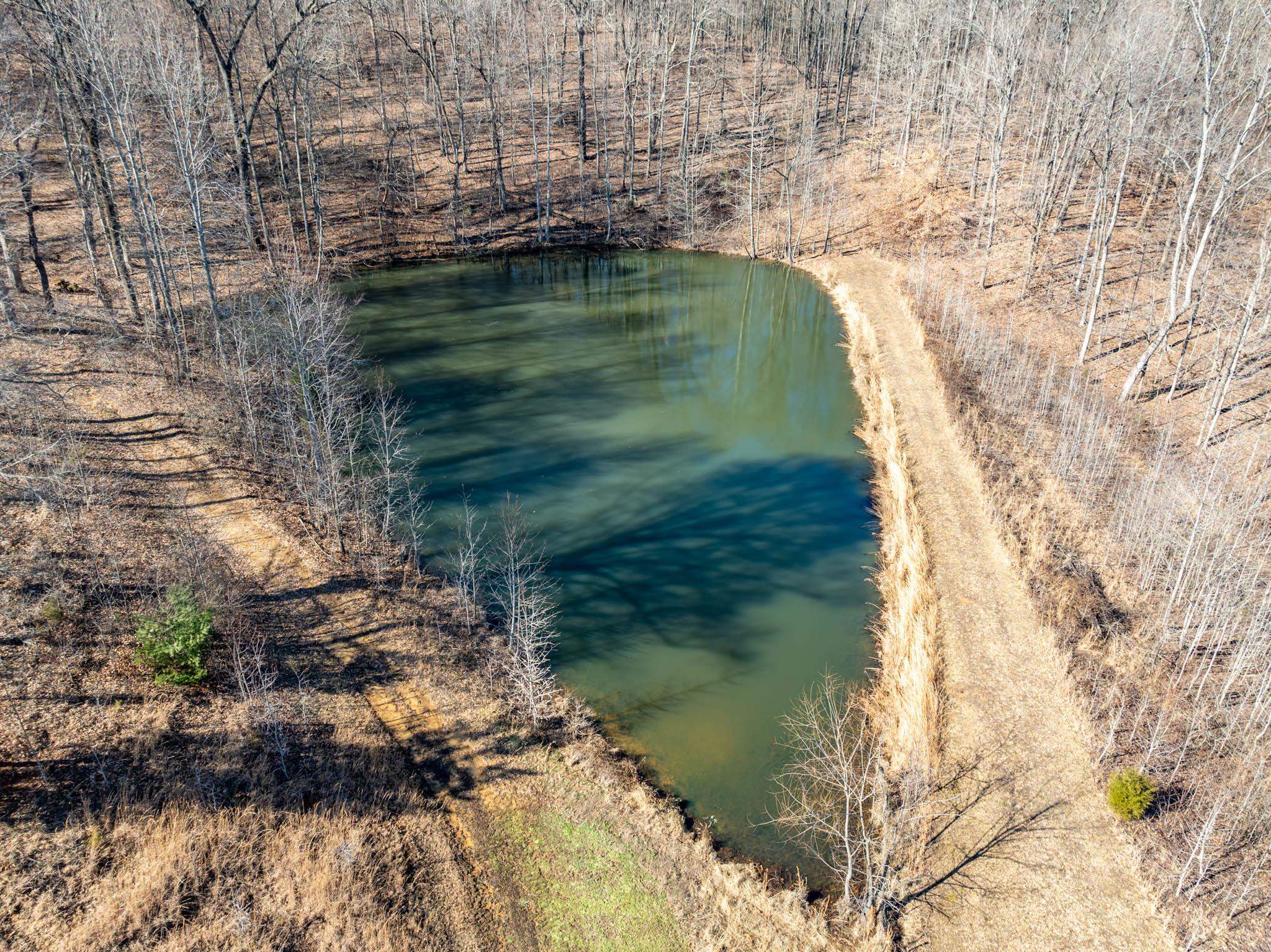 398 Indian Hill Road, Hawesville, Kentucky 42348, 4 Bedrooms Bedrooms, ,3 BathroomsBathrooms,Single Family Residence,For Sale,Indian Hill Road,91495