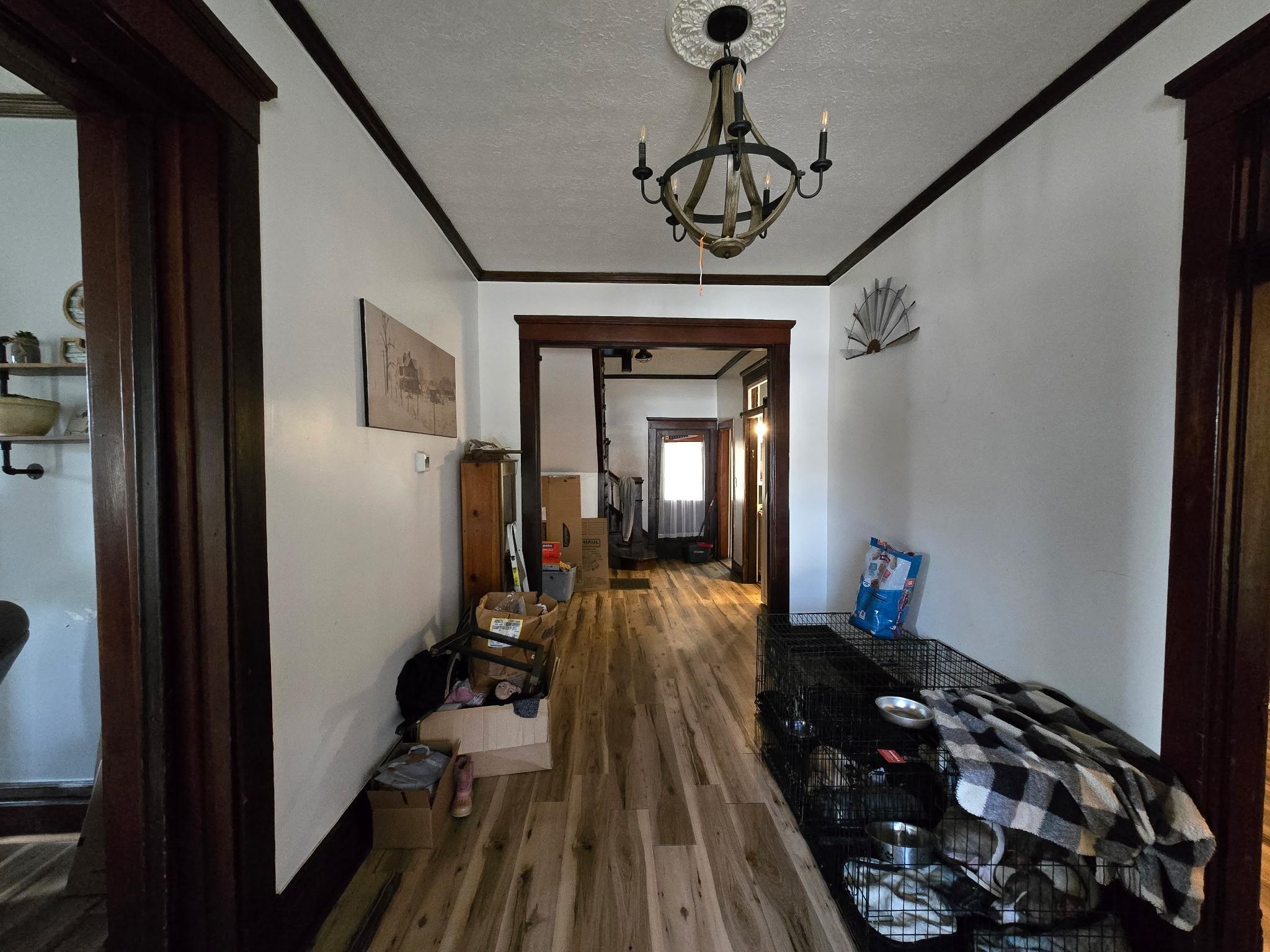 10100 HWY 231, Utica, Kentucky 42376, 4 Bedrooms Bedrooms, ,2 BathroomsBathrooms,Single Family Residence,For Sale,HWY 231,91499