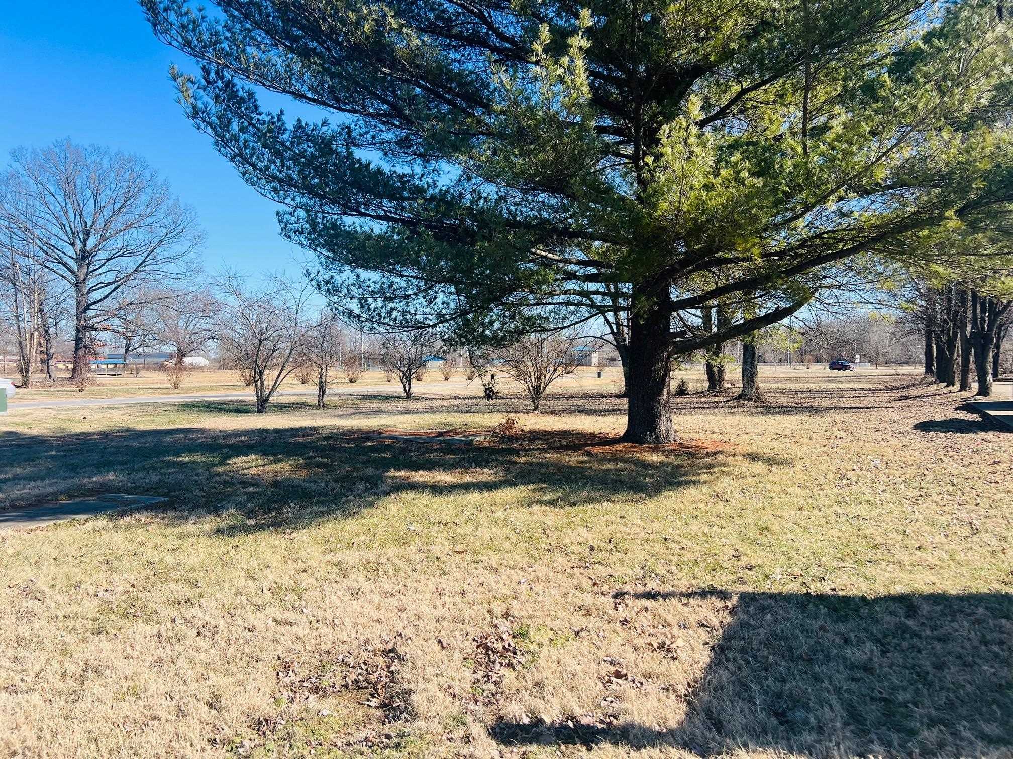 221 Main St, Beaver Dam, Kentucky 42320, ,Land,For Sale,Main St,91506