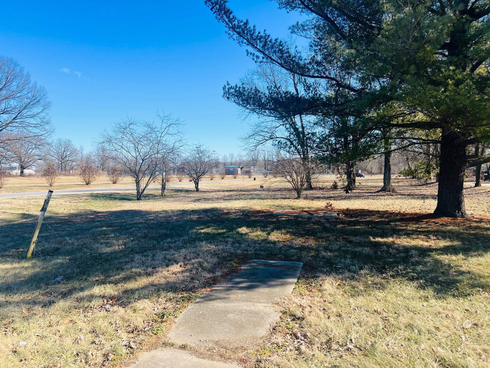 221 Main St, Beaver Dam, Kentucky 42320, ,Land,For Sale,Main St,91506