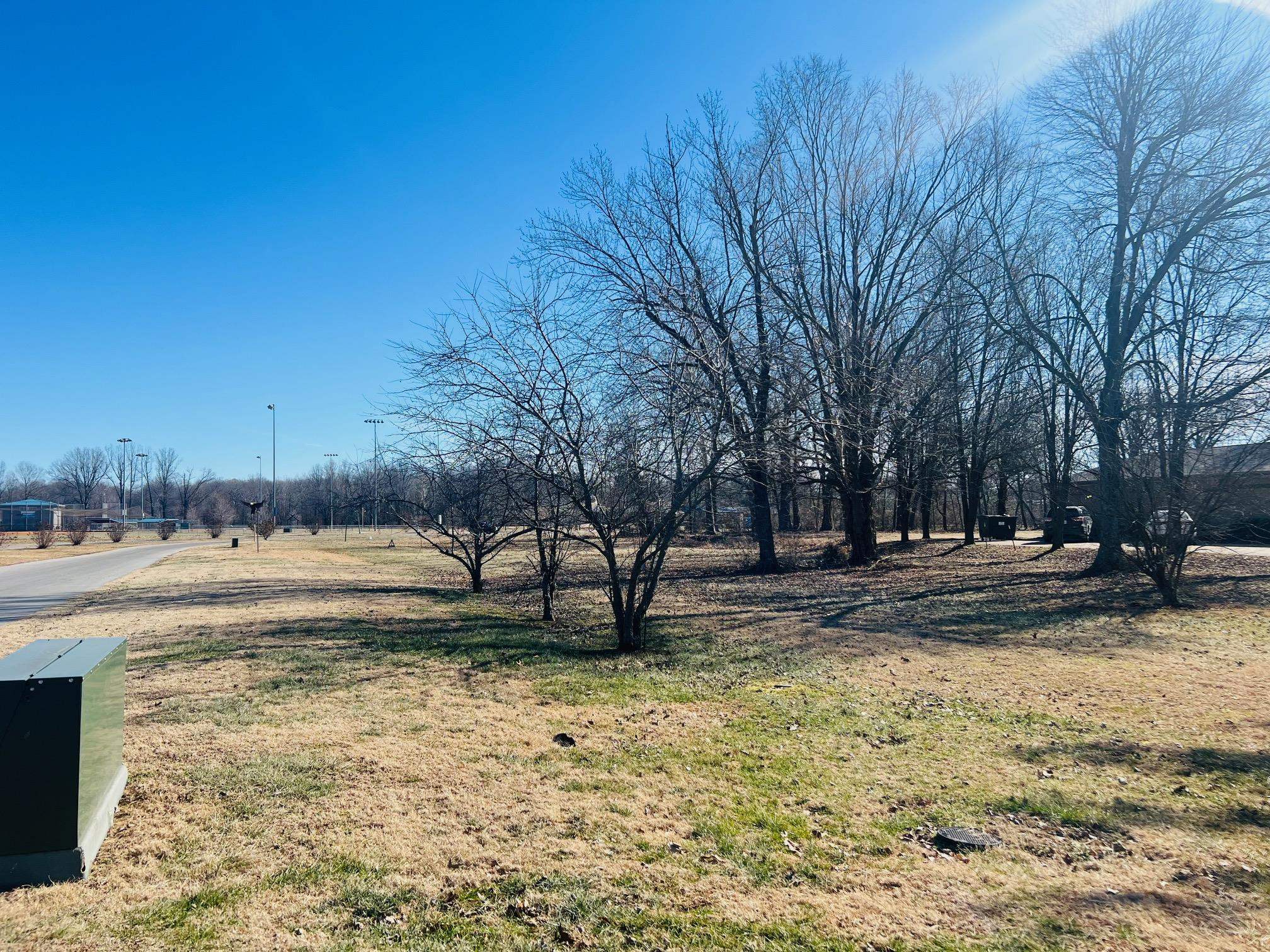 221 Main St, Beaver Dam, Kentucky 42320, ,Land,For Sale,Main St,91506