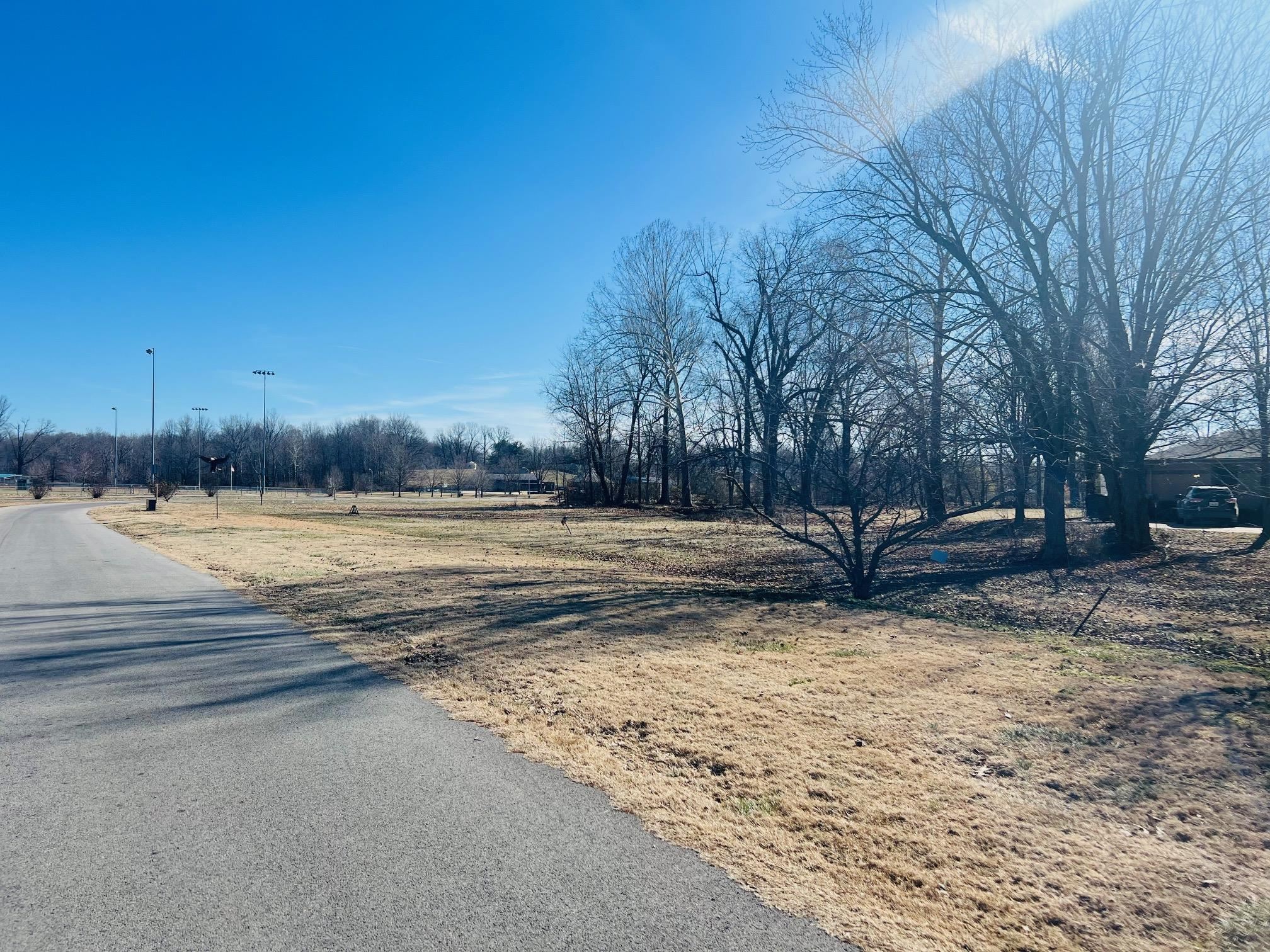 221 Main St, Beaver Dam, Kentucky 42320, ,Land,For Sale,Main St,91506